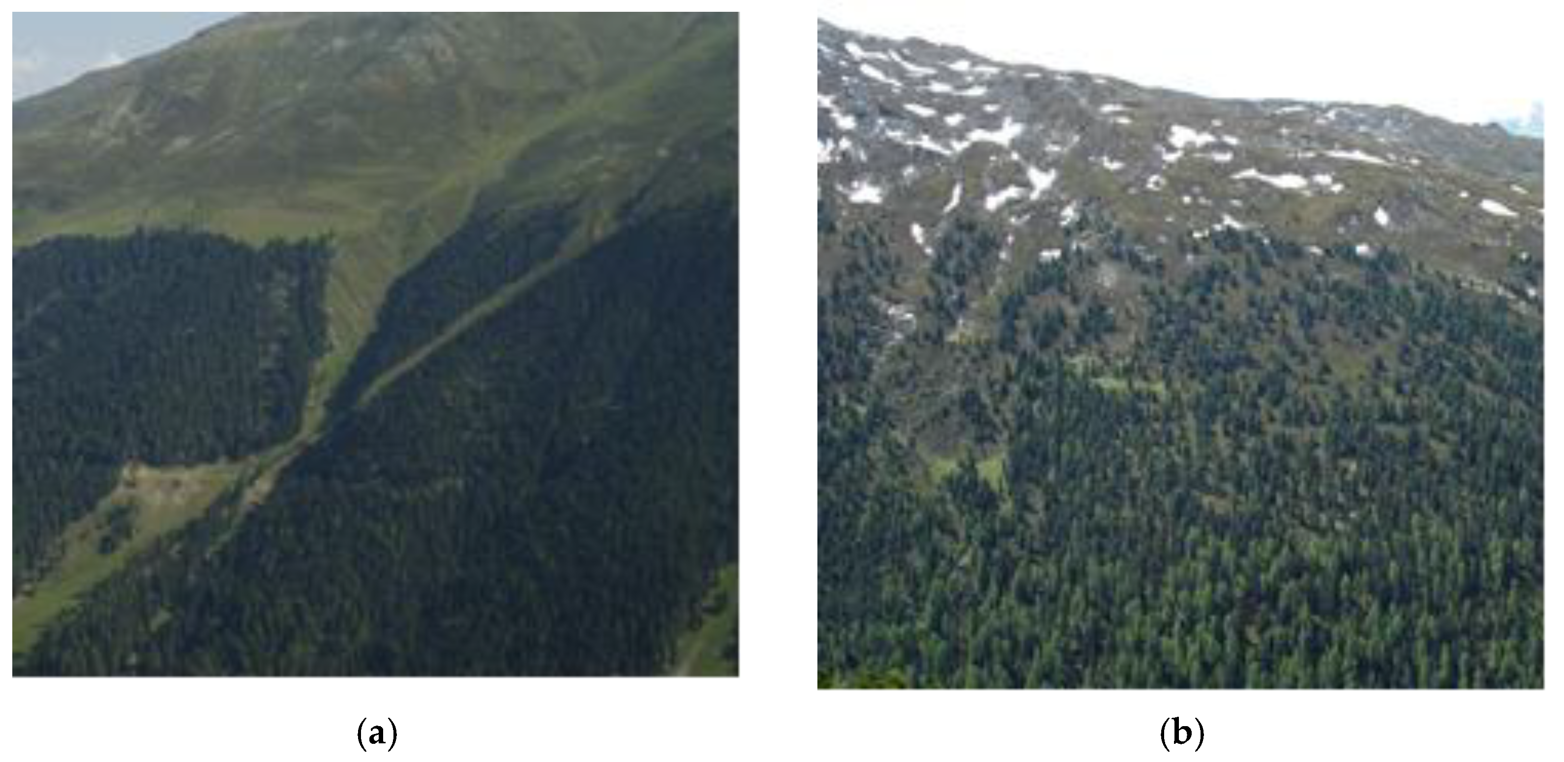 Forests 13 00857 g001 550