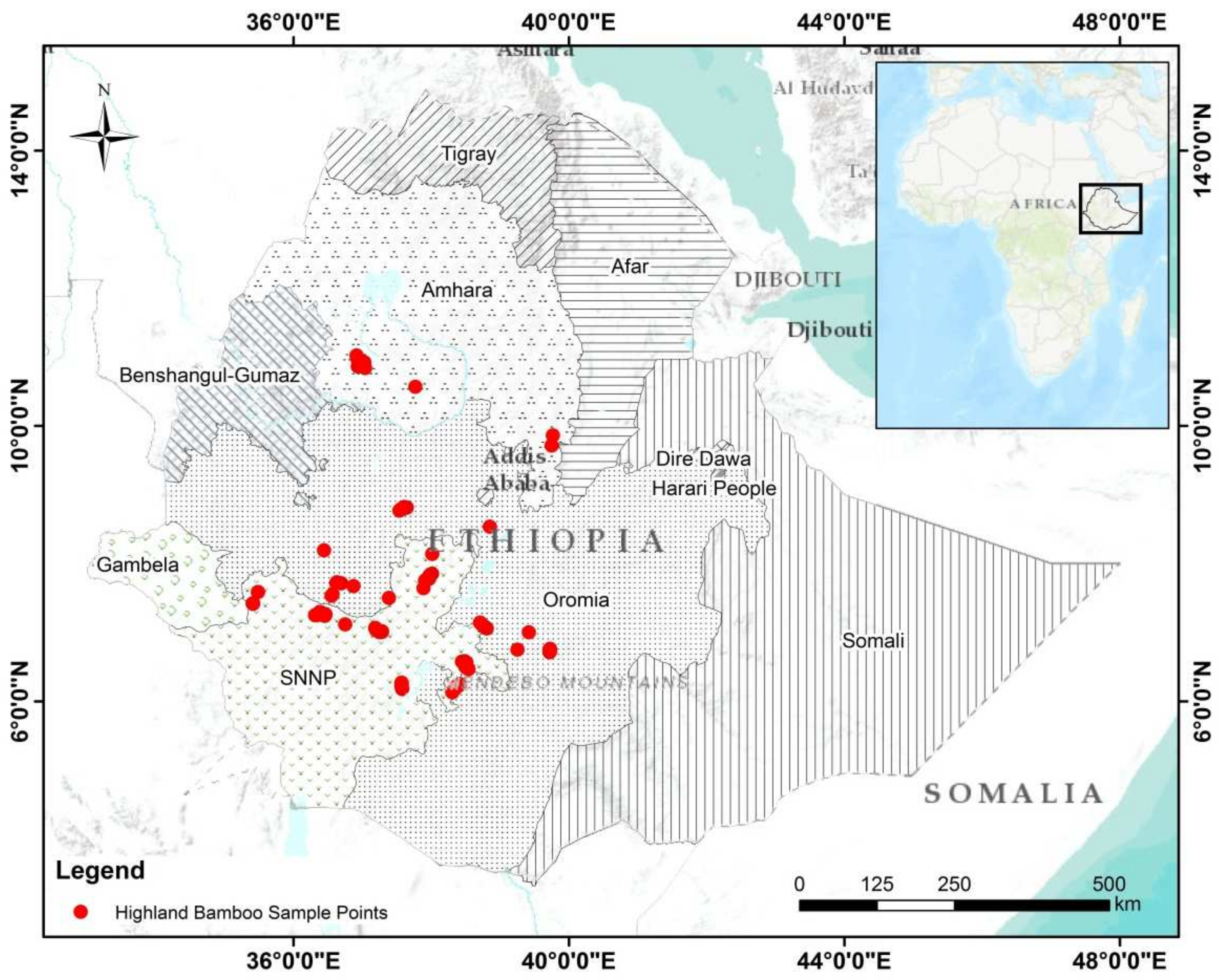 Forests 13 00859 g001