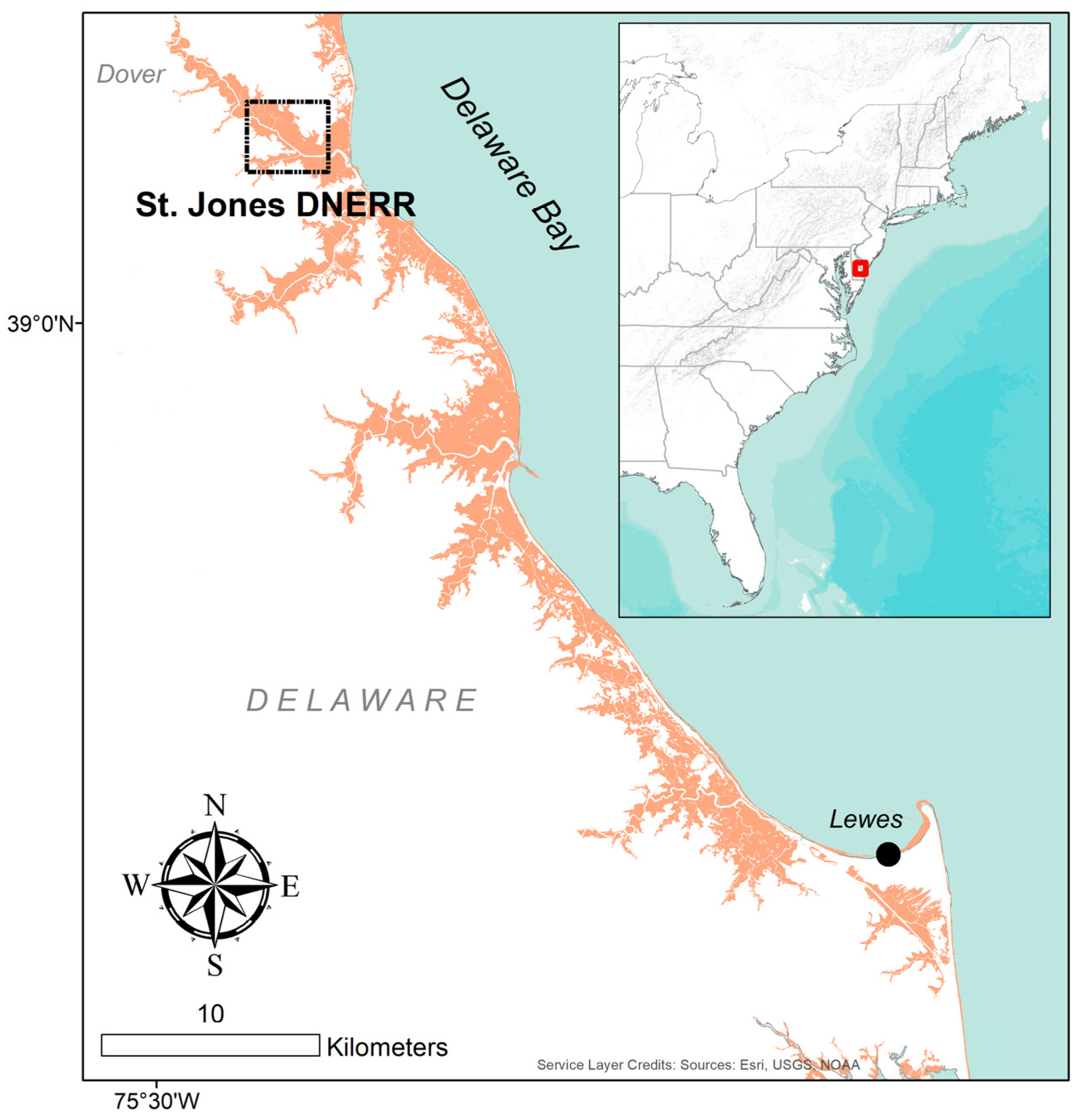 Forests 13 00862 g001 550