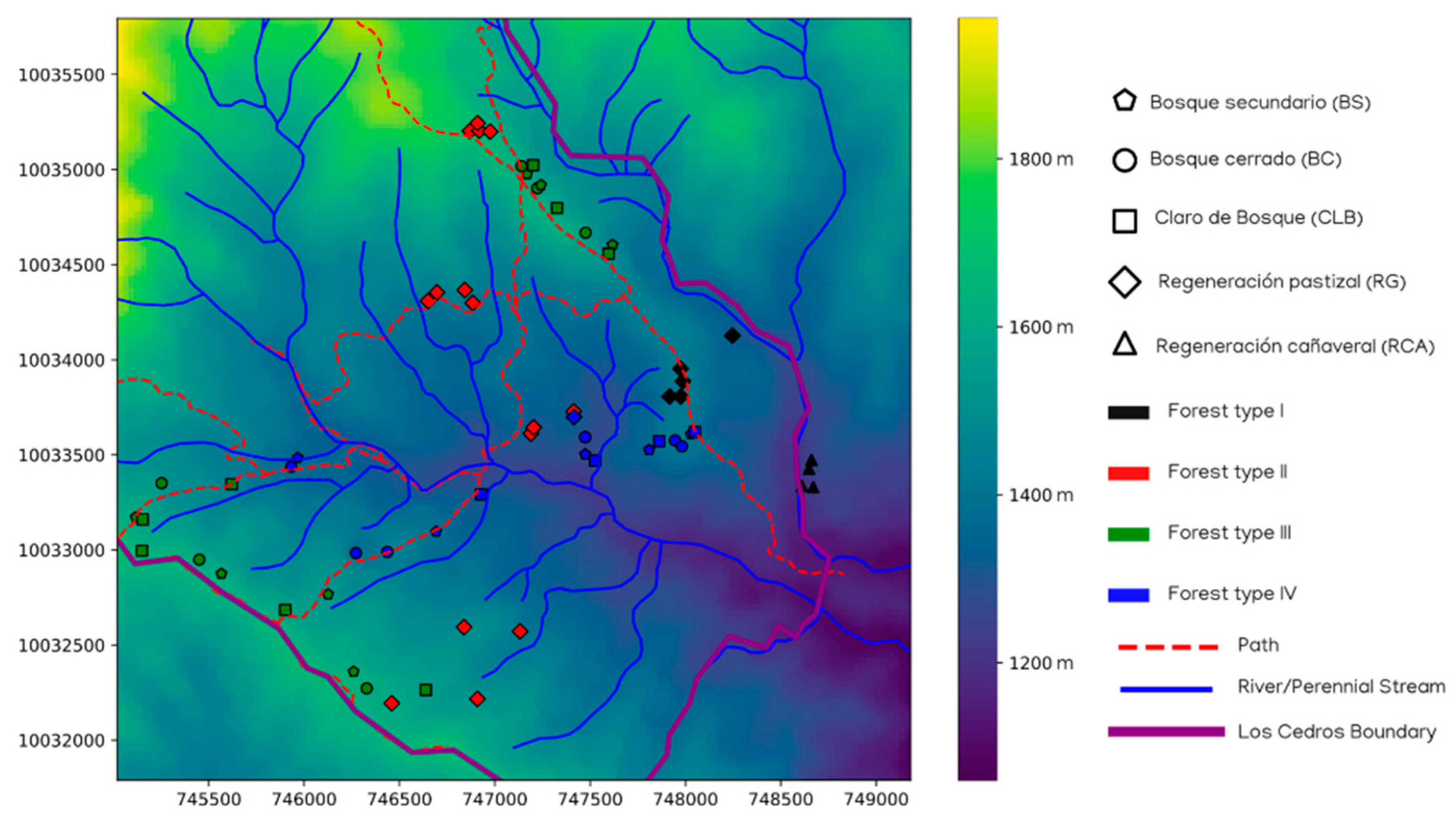Forests 13 00875 g006 550