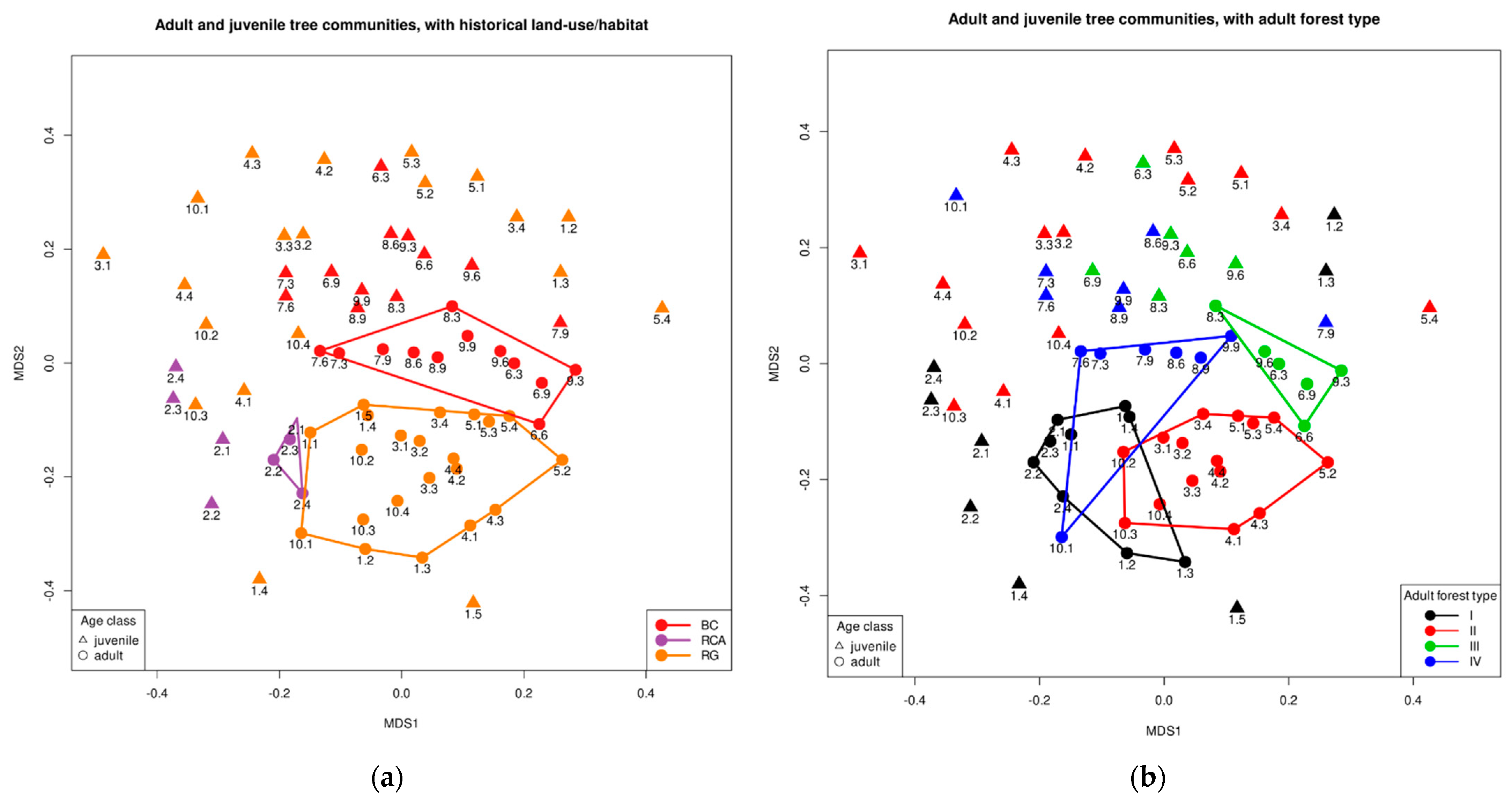 Forests 13 00875 g009 550