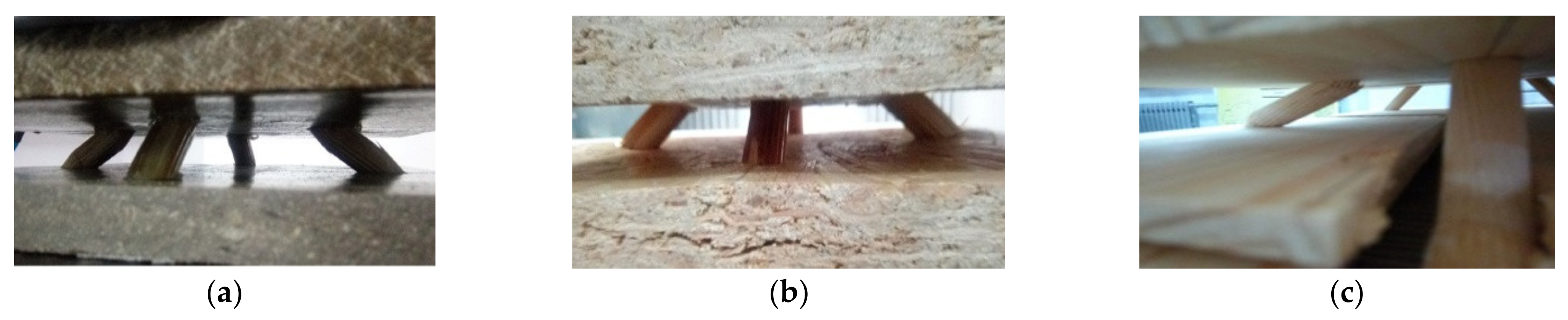 Forests 13 00877 g004