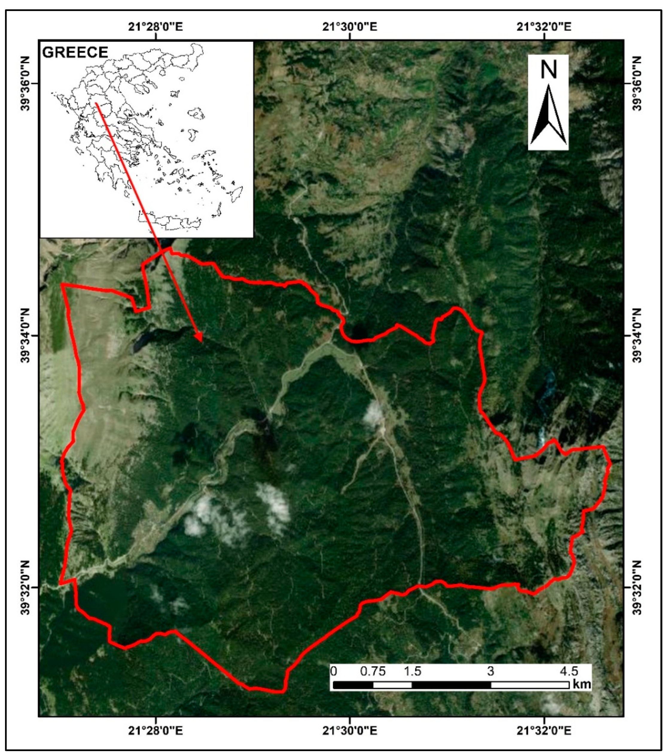 Forests 13 00879 g001 550