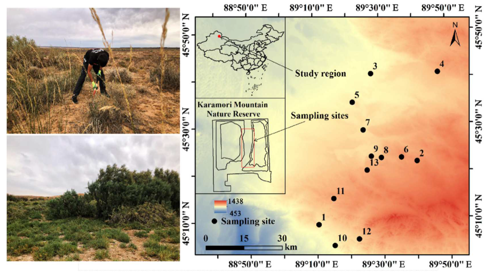 Forests 13 00890 g001