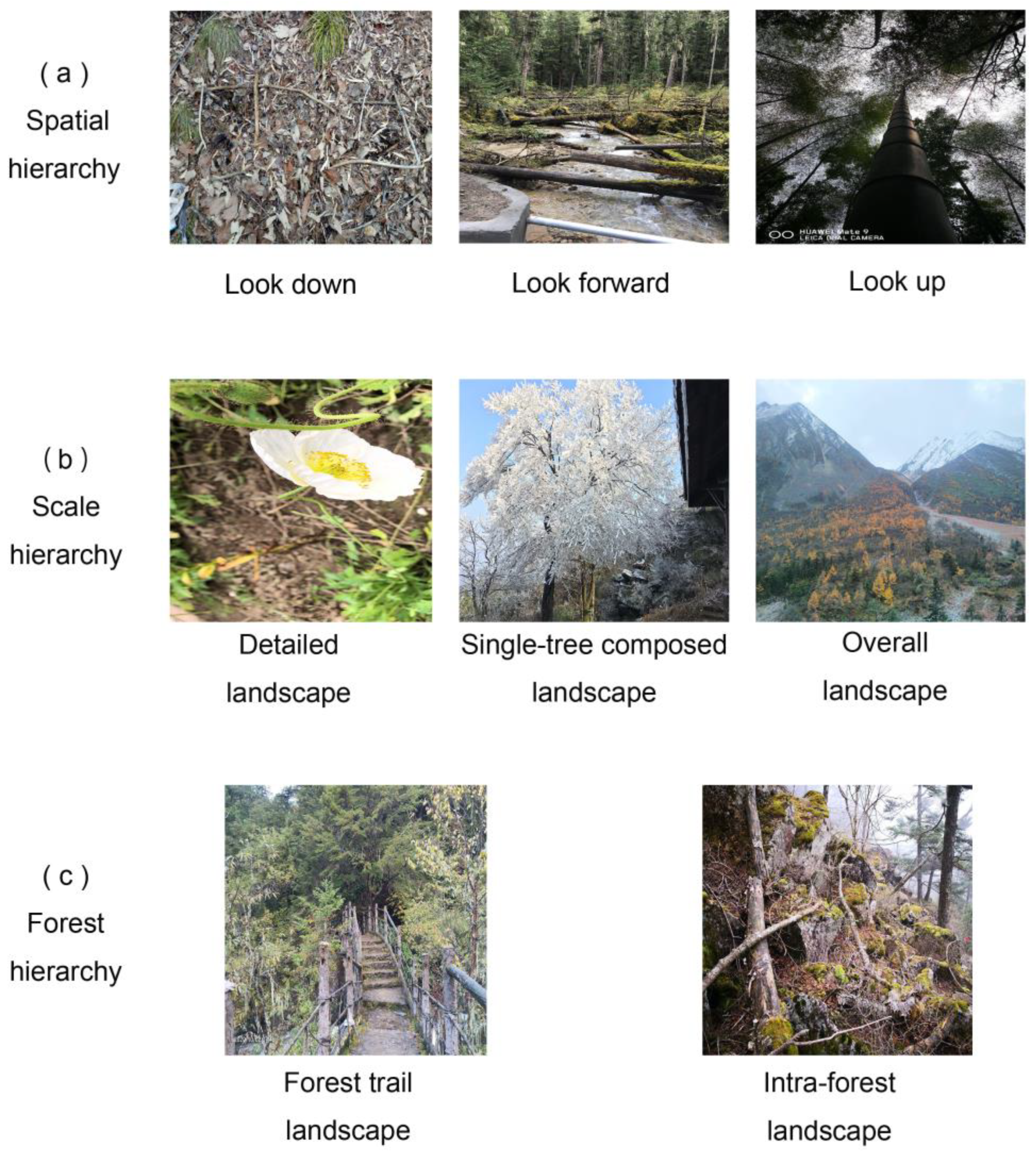 Forests 13 00892 g003 Forests 13 00892 g003