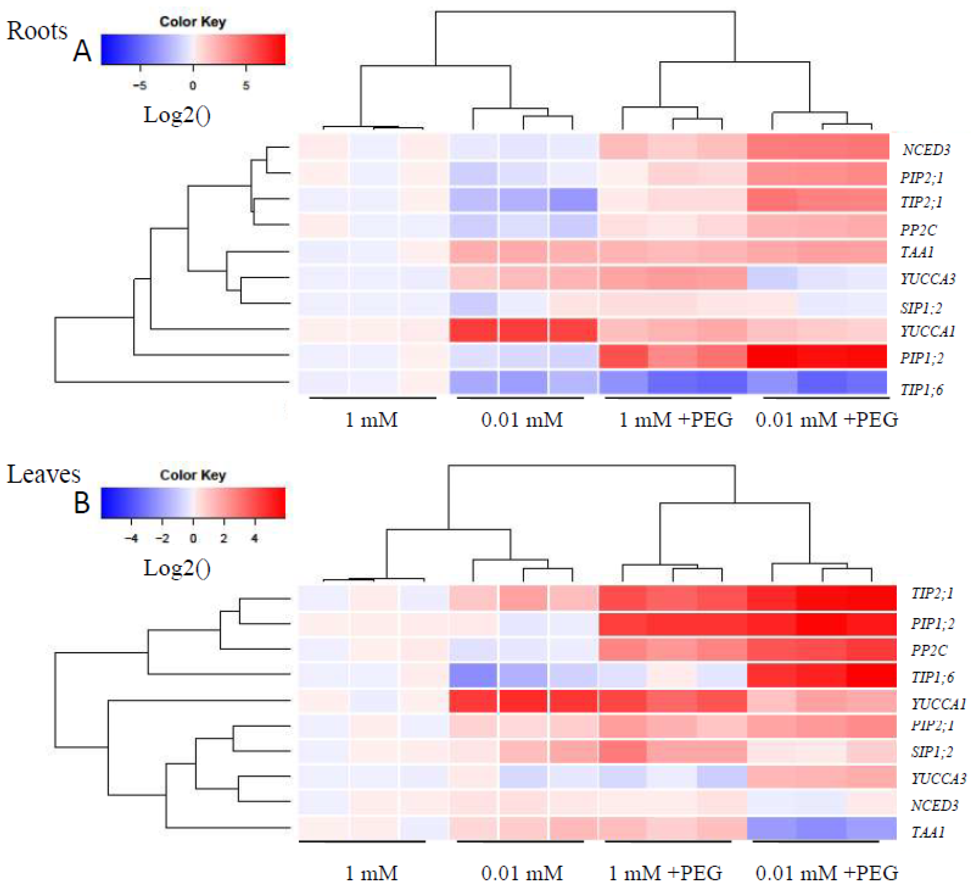 Forests 13 00907 g008 550