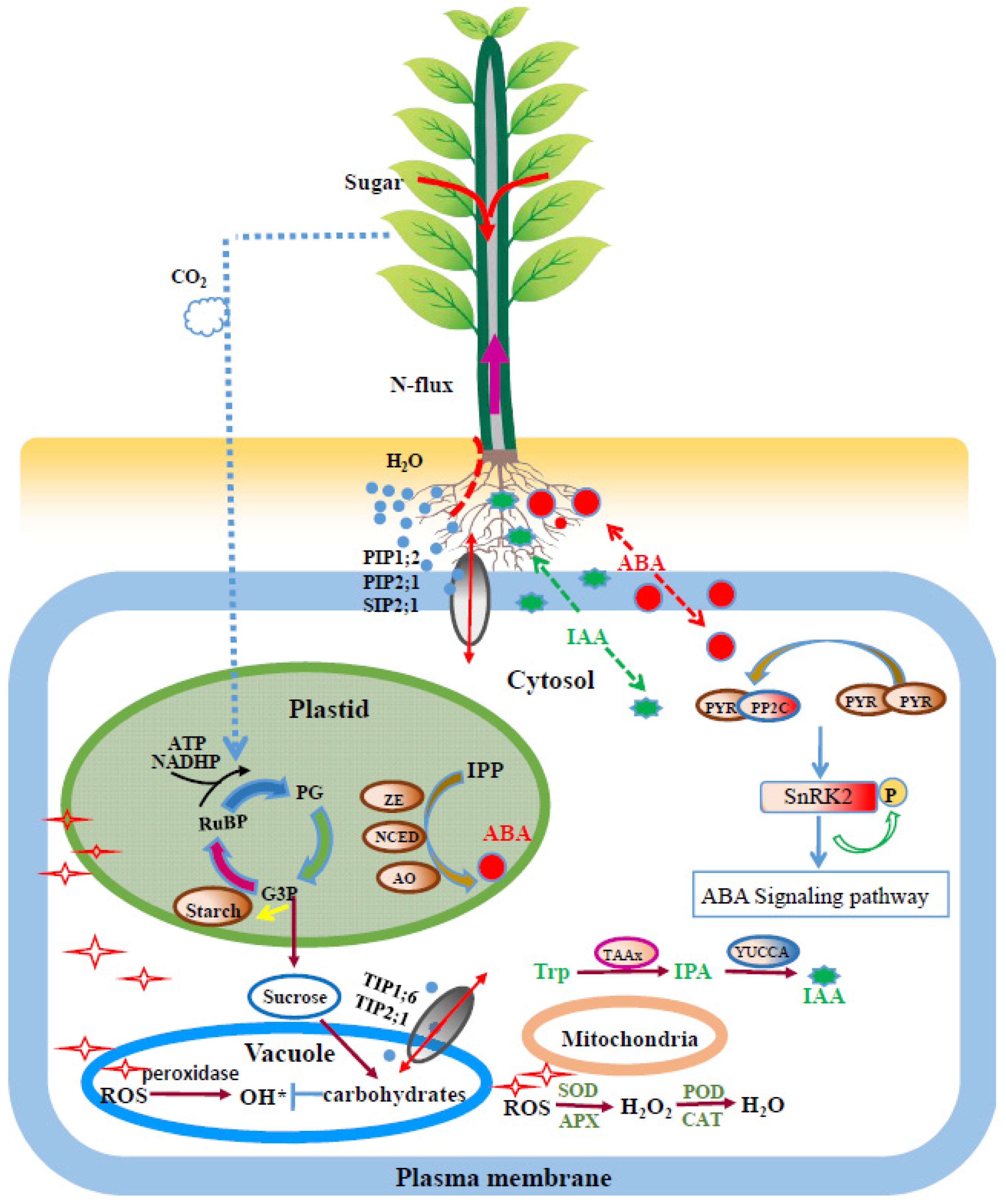 Forests 13 00907 g009 550