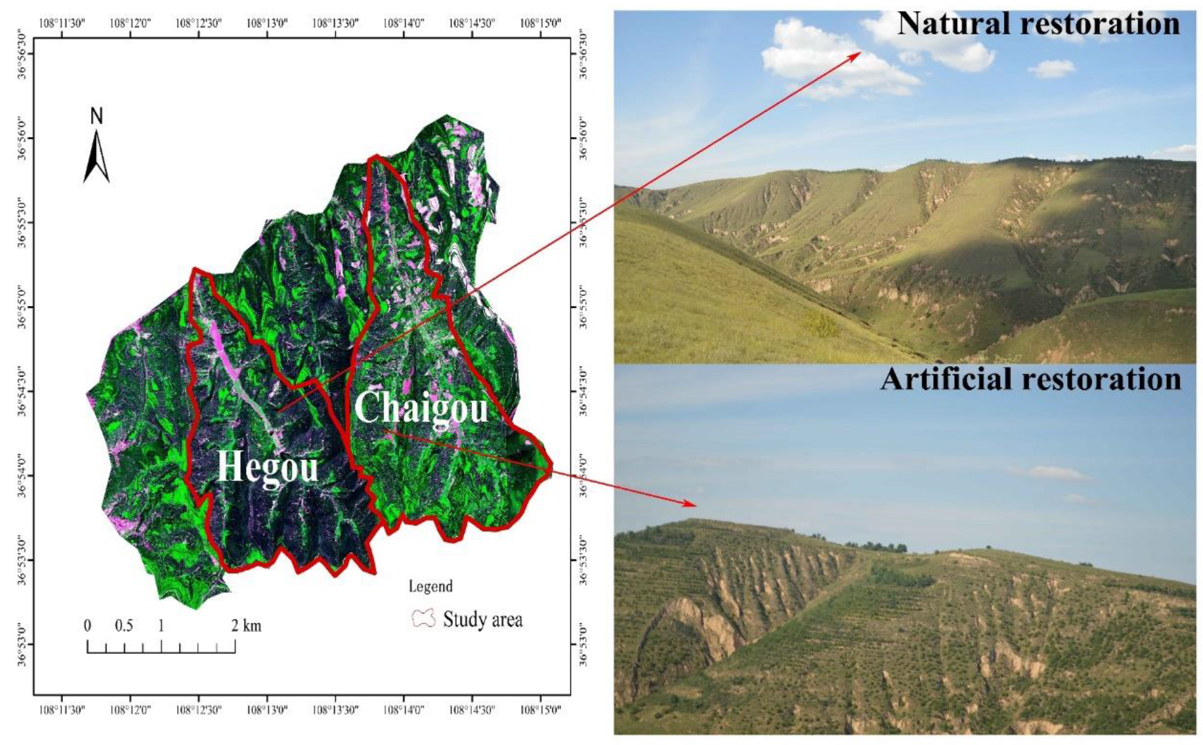 Forests 13 00913 g001