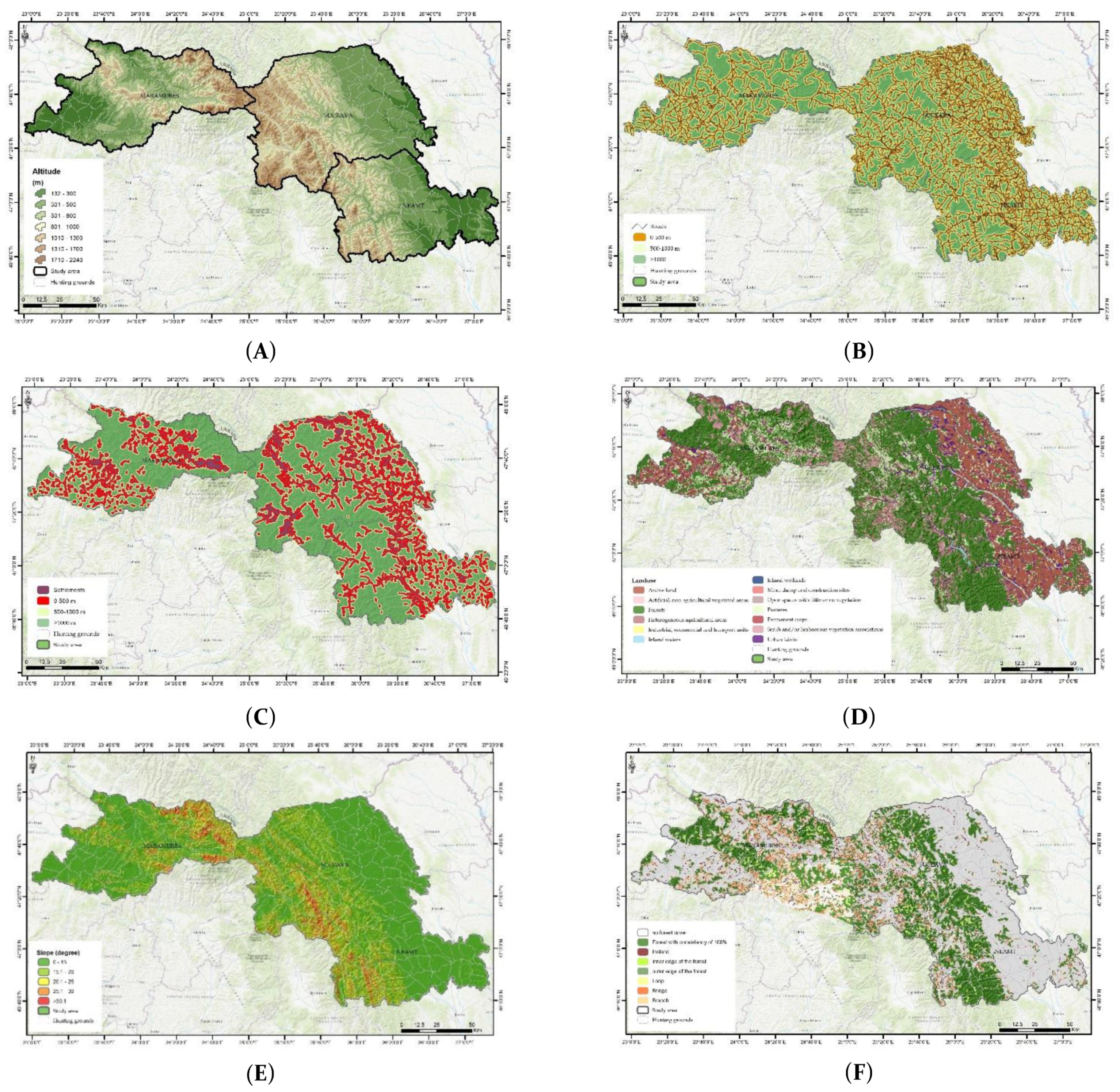 Forests 13 00920 g002 550