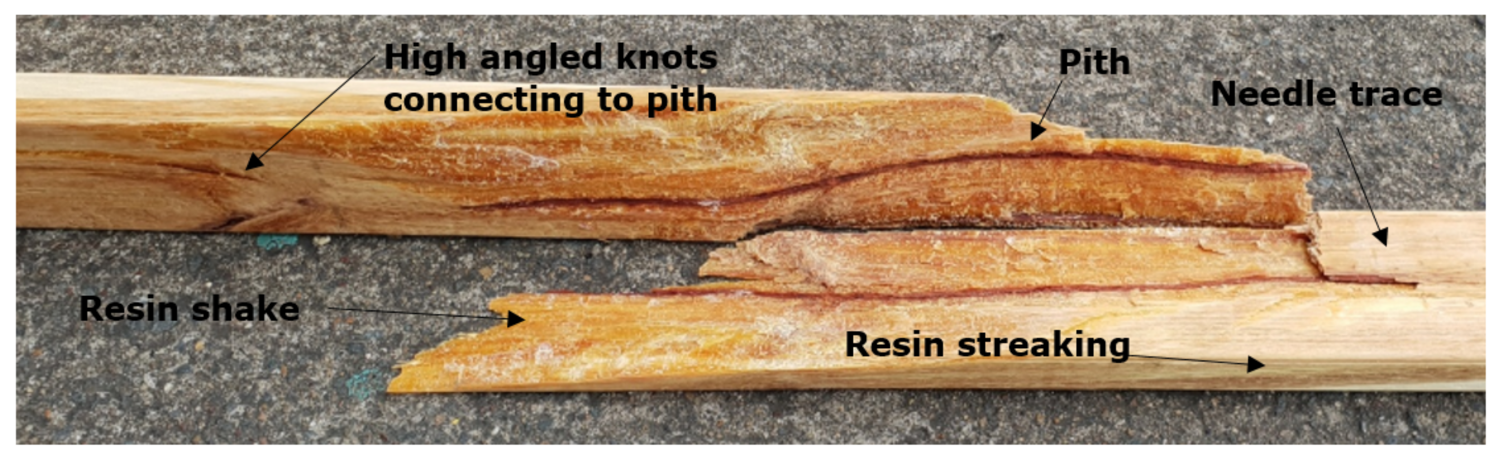 Forests 13 00927 g001 Forests 13 00927 g001