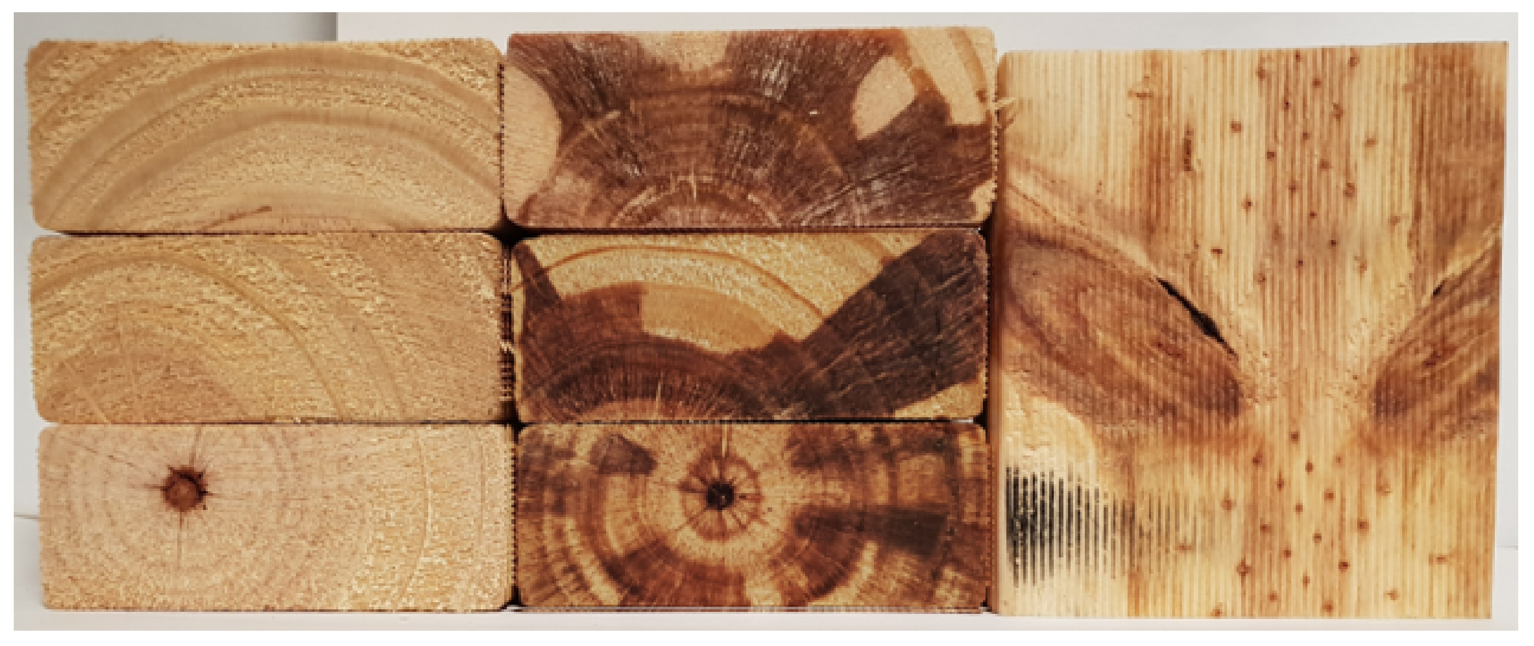 Forests 13 00927 g002 Forests 13 00927 g002