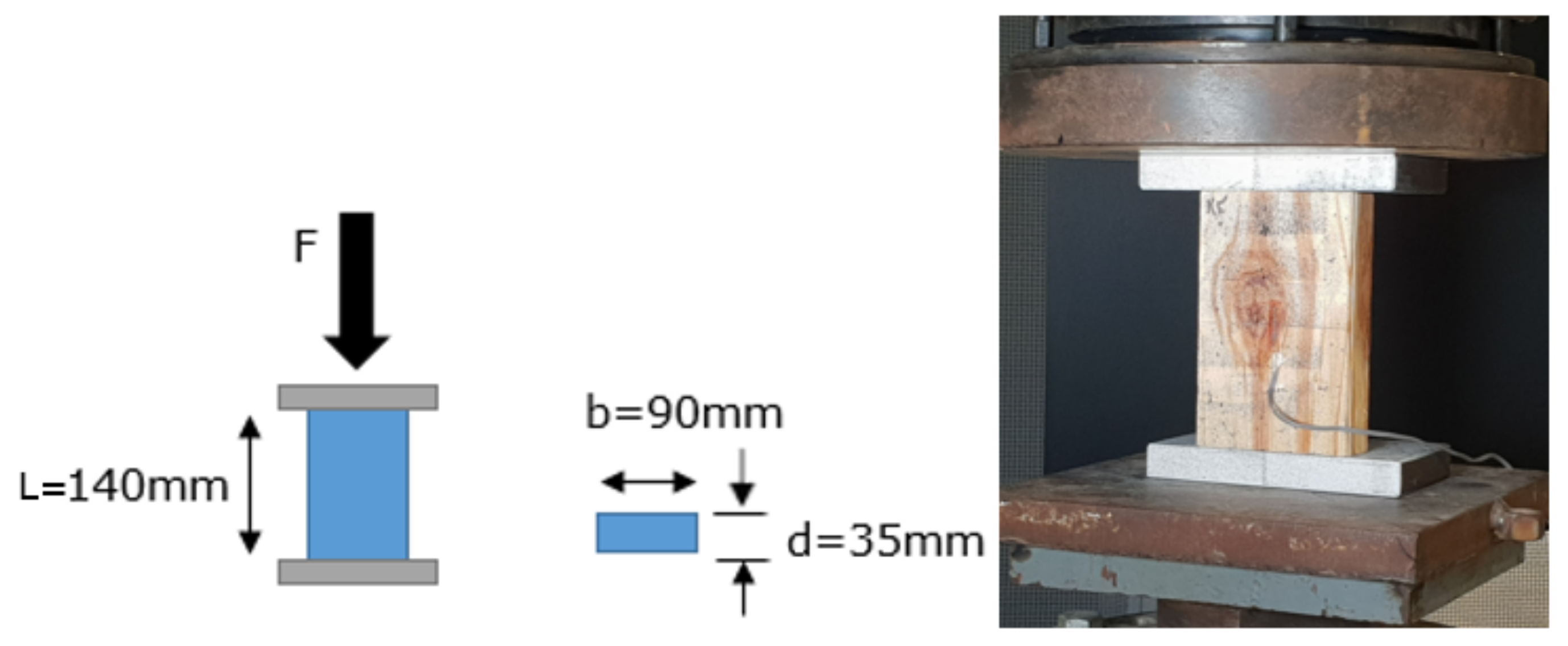 Forests 13 00927 g004 Forests 13 00927 g004