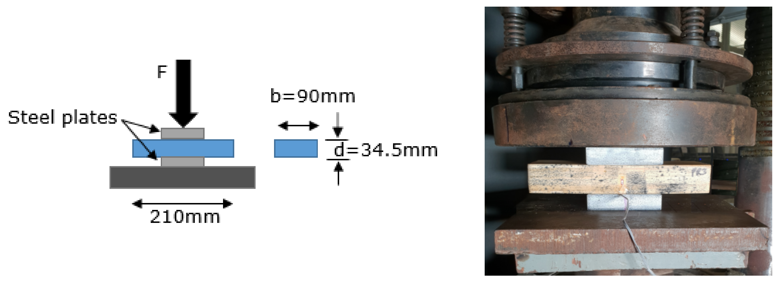 Forests 13 00927 g005 Forests 13 00927 g005
