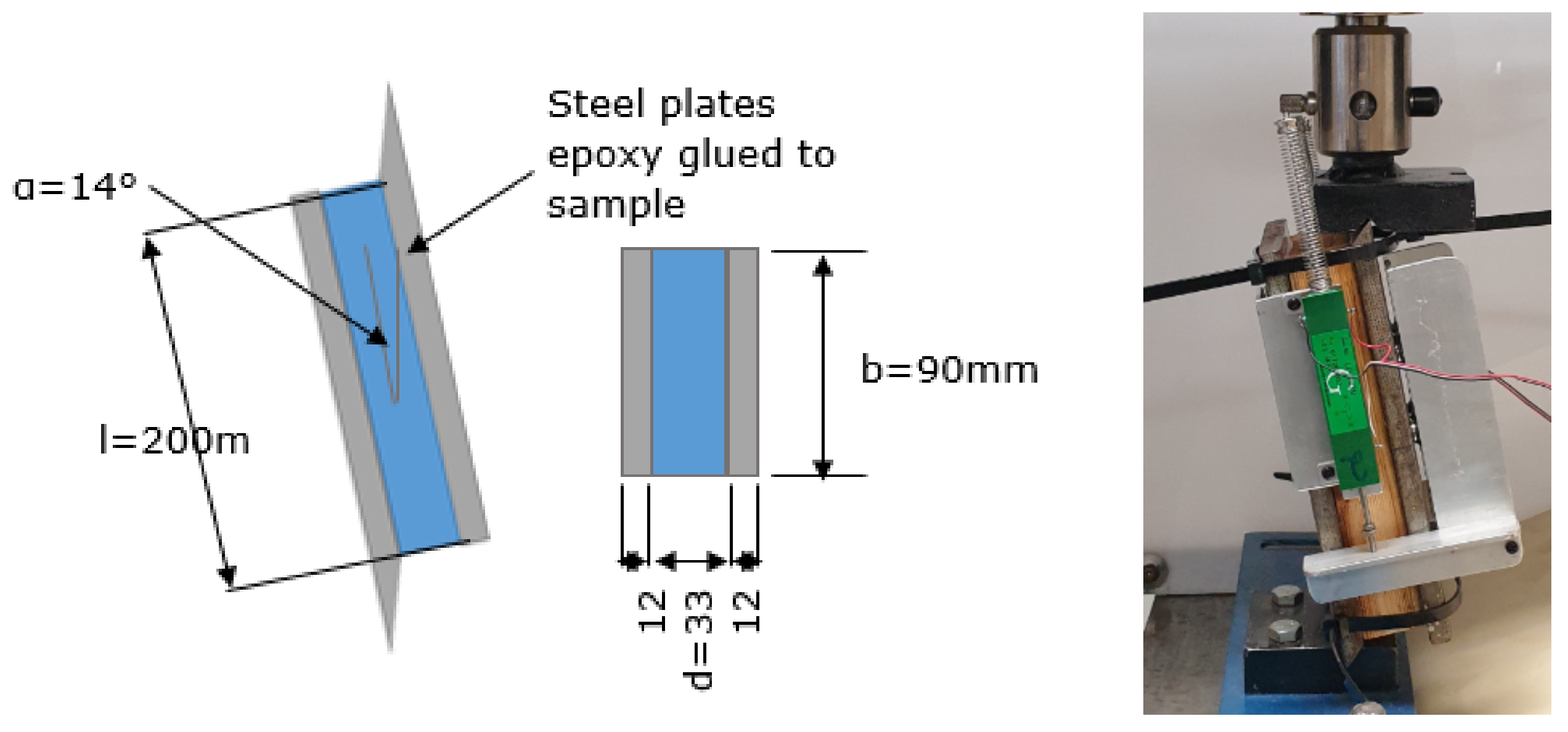 Forests 13 00927 g006 Forests 13 00927 g006