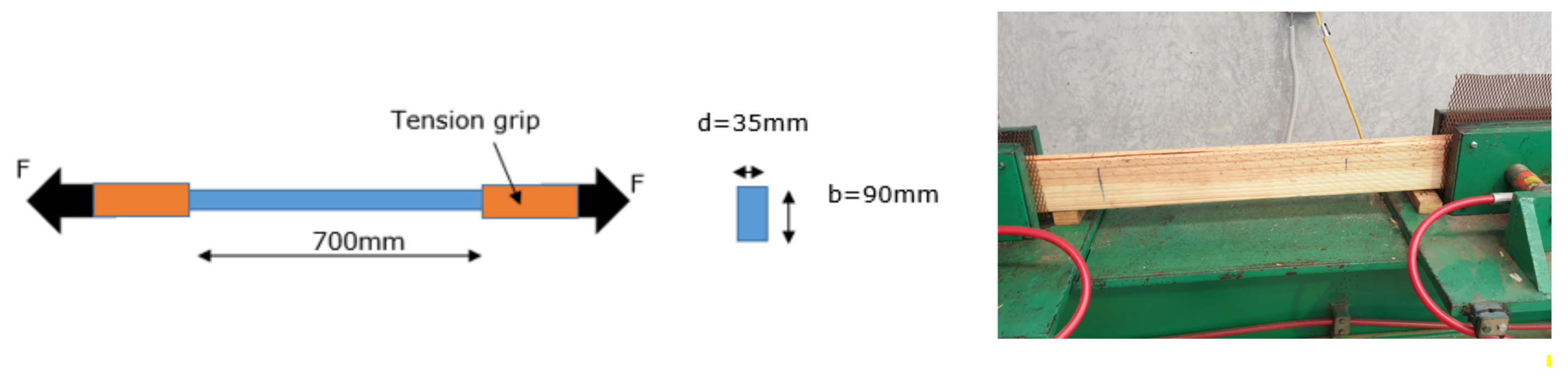 Forests 13 00927 g007 Forests 13 00927 g007