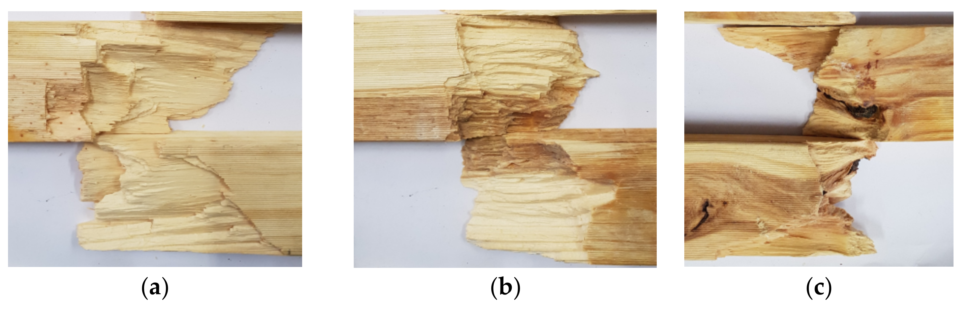 Forests 13 00927 g008 Forests 13 00927 g008