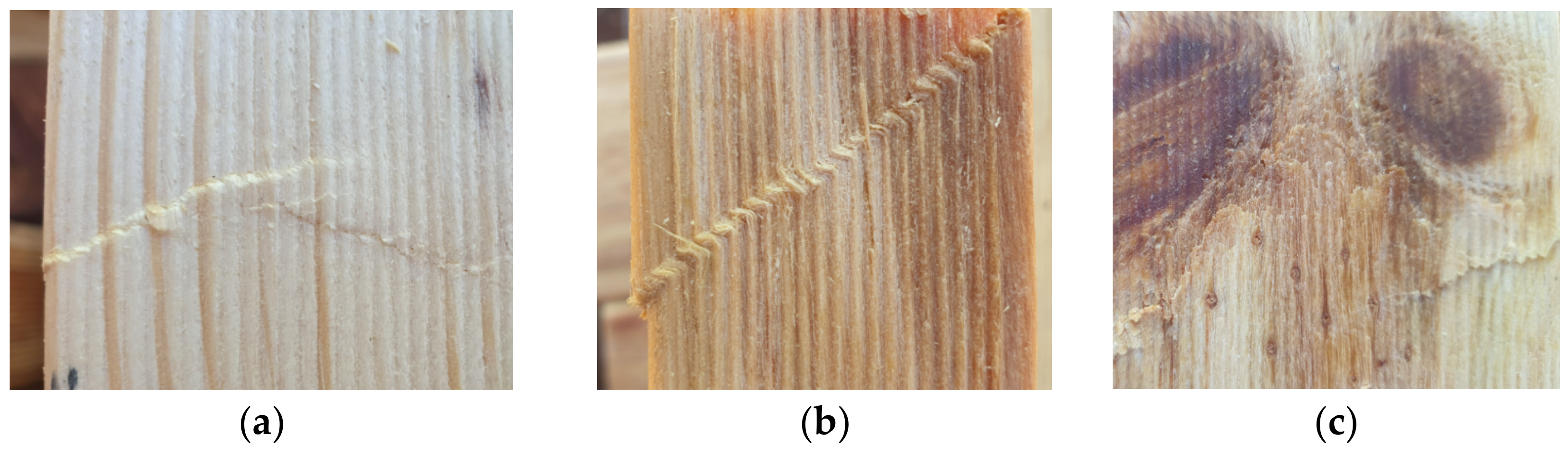 Forests 13 00927 g013 Forests 13 00927 g013