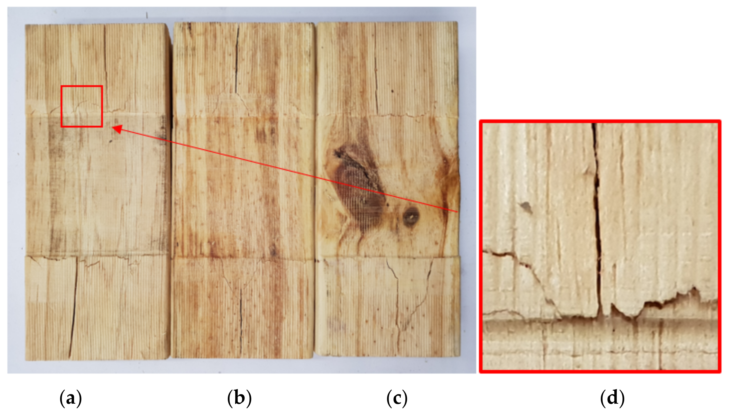 Forests 13 00927 g018 Forests 13 00927 g018