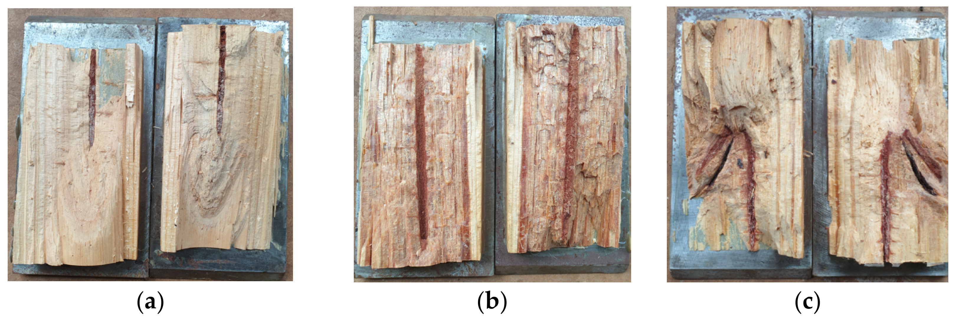 Forests 13 00927 g023 Forests 13 00927 g023