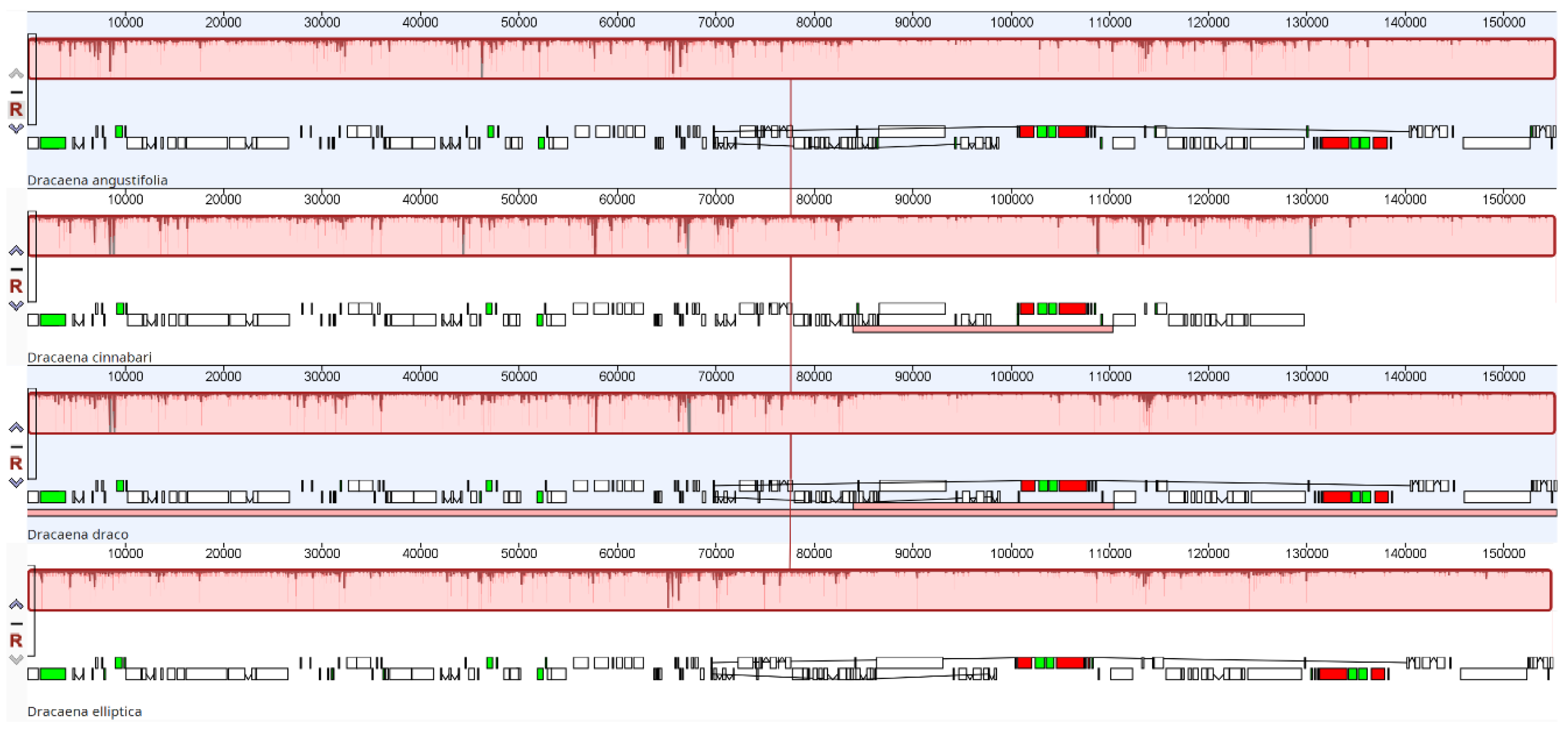 Forests 13 00932 g002