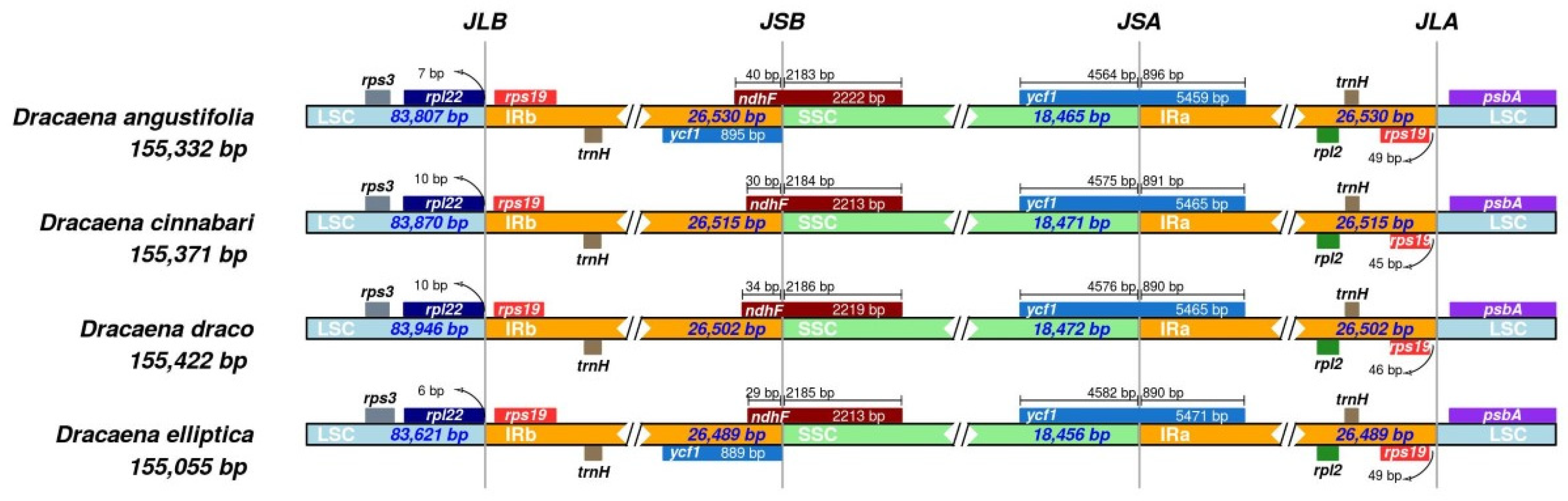 Forests 13 00932 g003