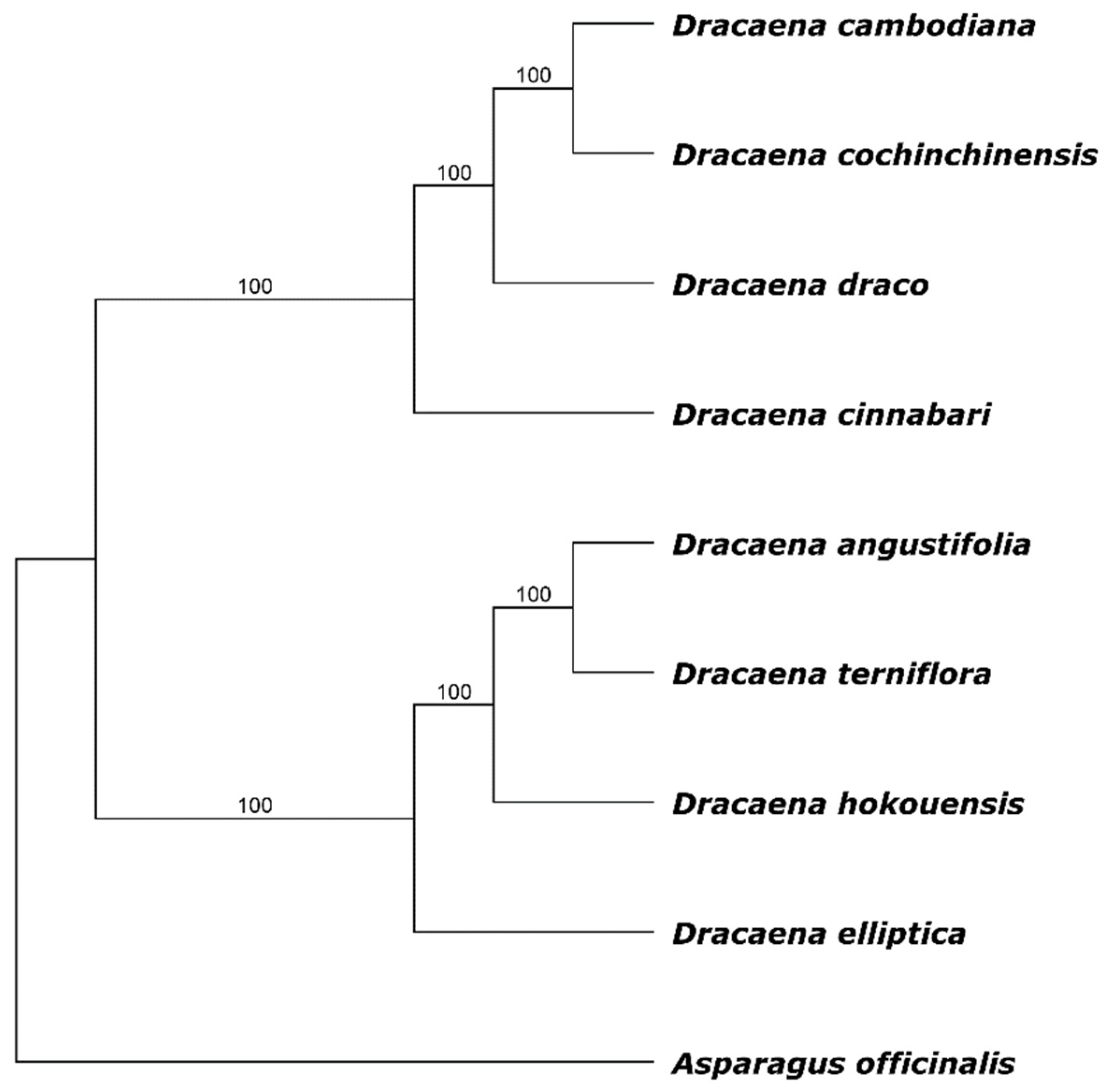 Forests 13 00932 g004