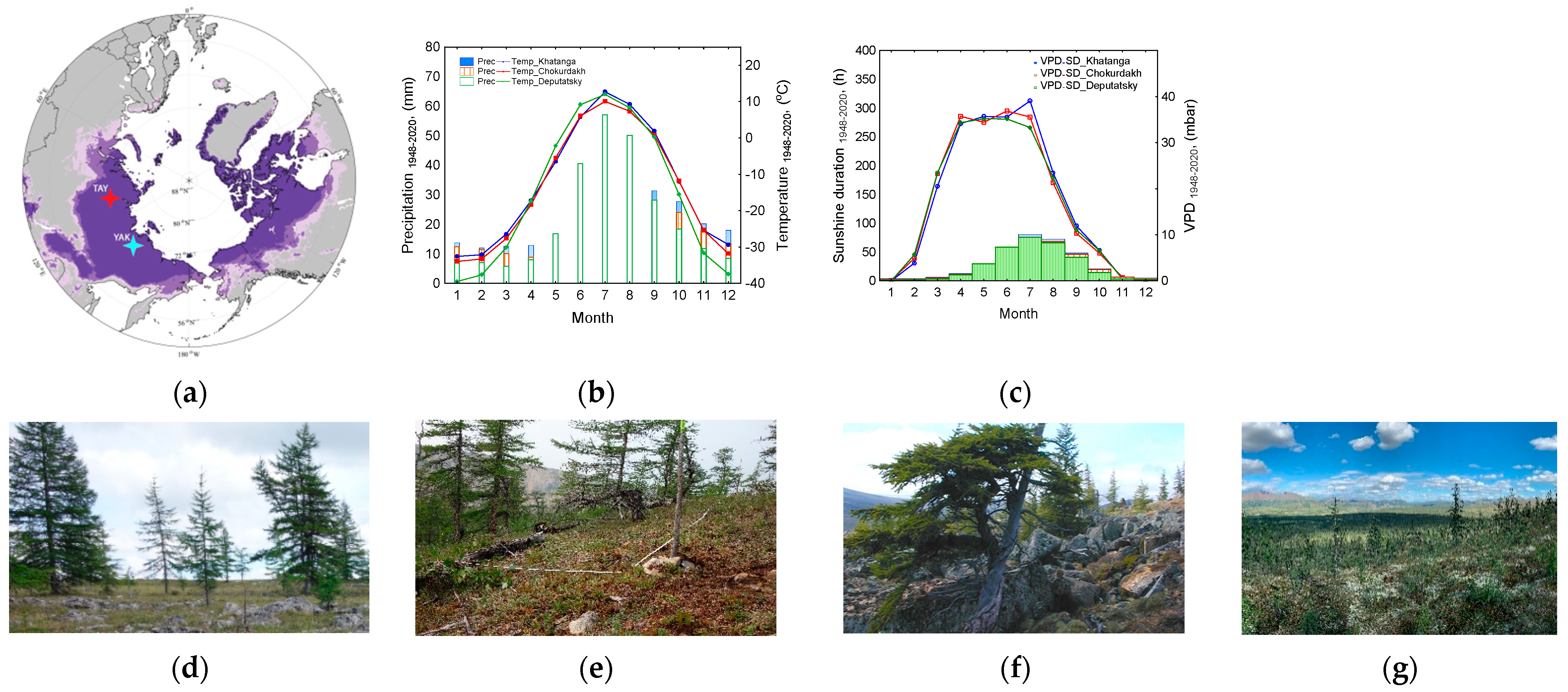 Forests 13 00934 g001