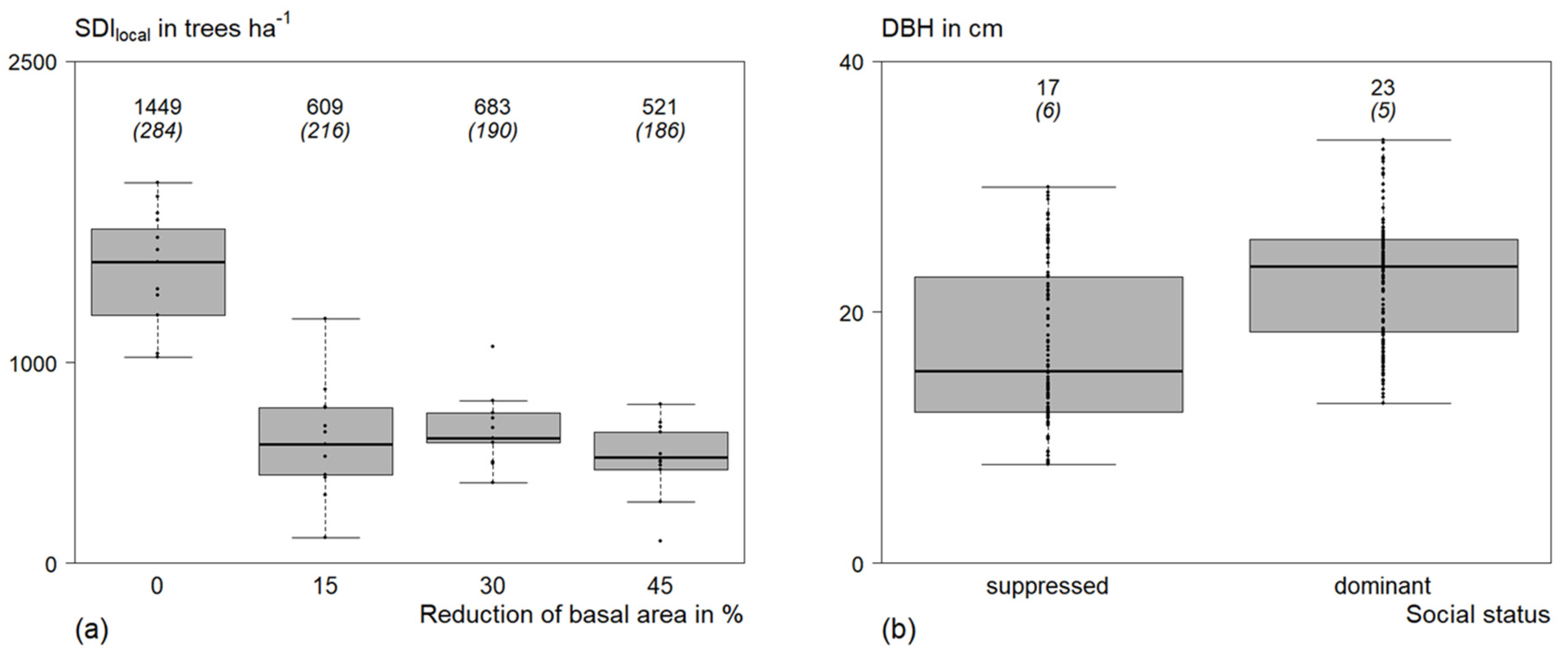 Forests 13 00935 g002