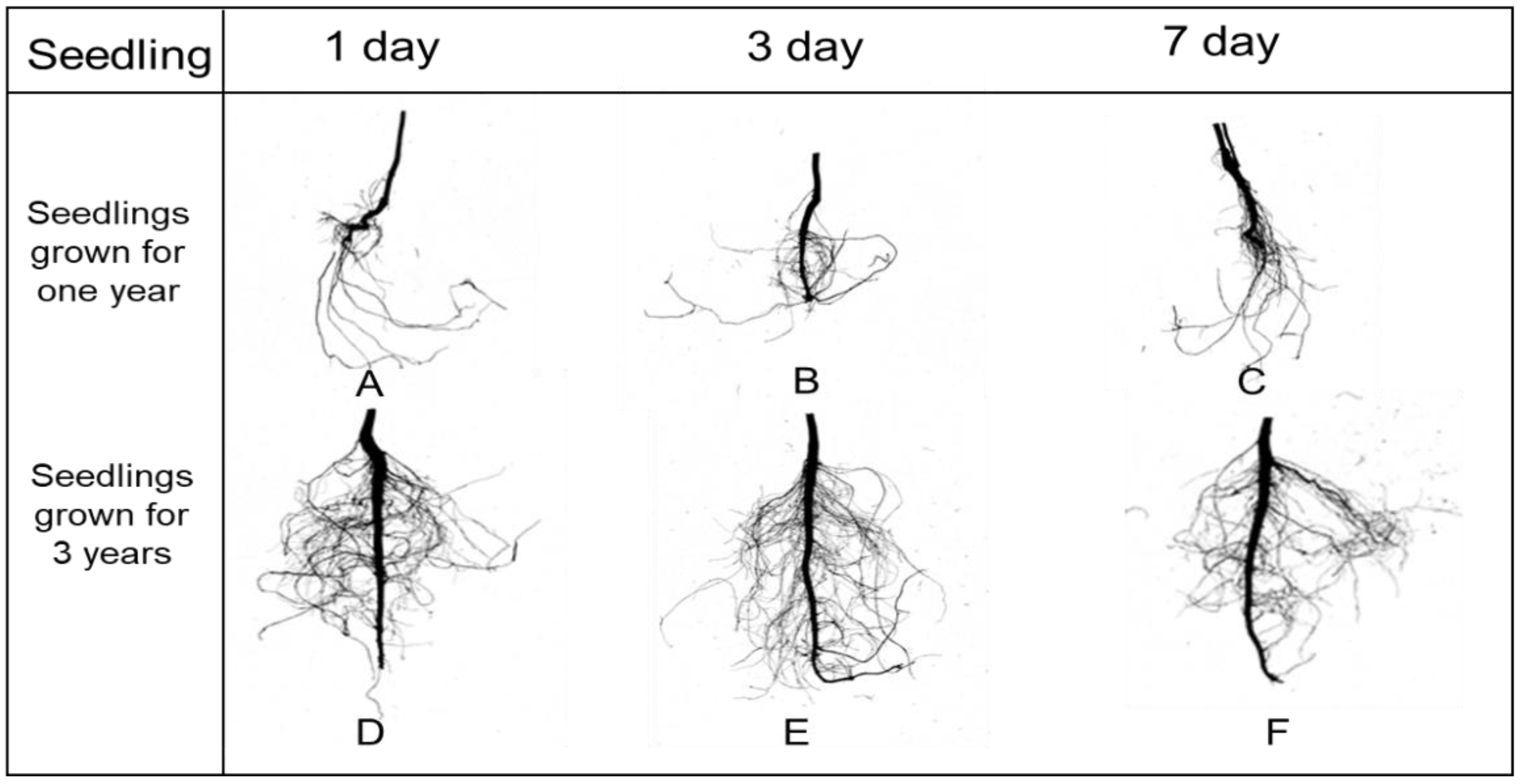 Forests 13 00938 g004