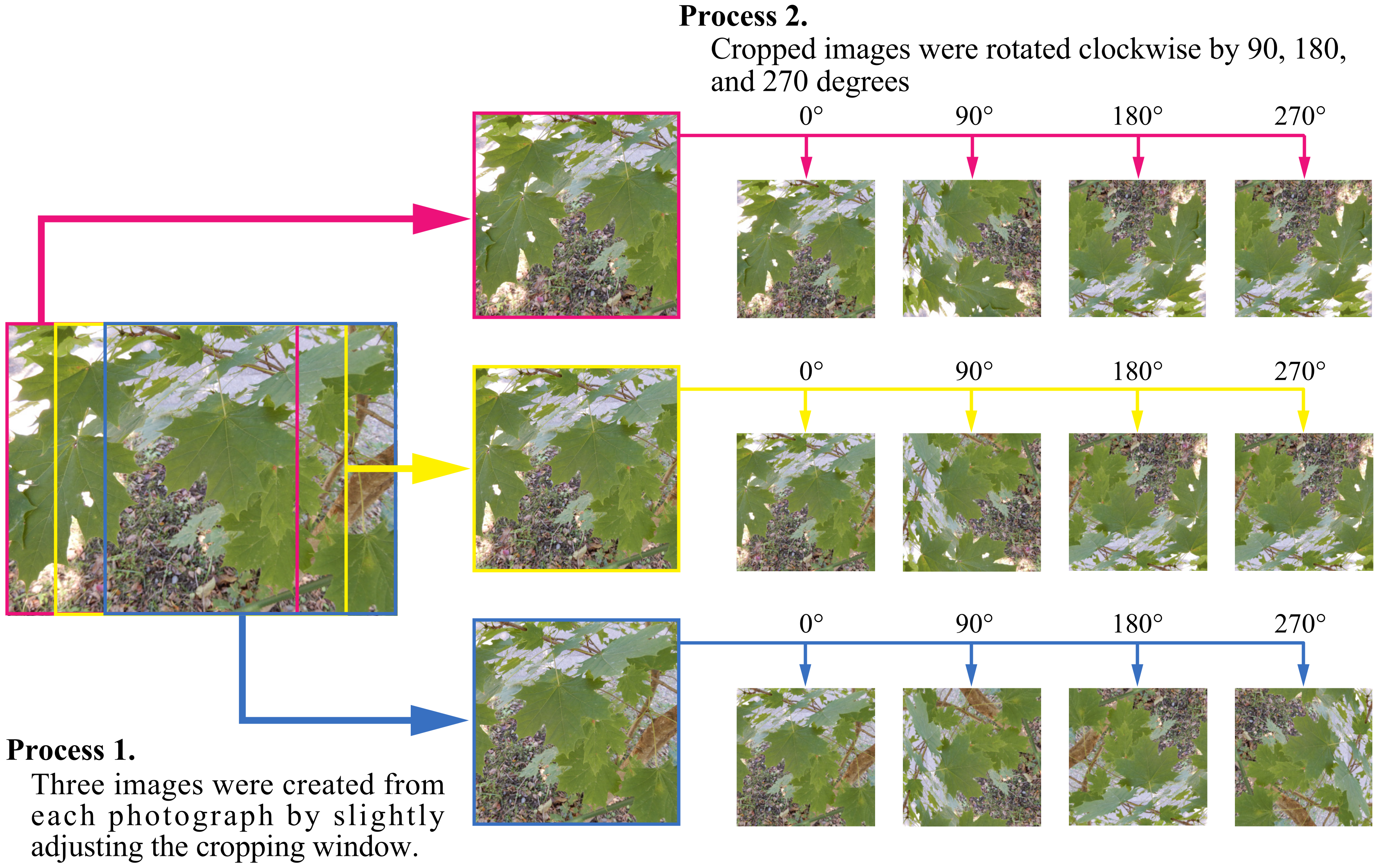 Forests 13 00943 g002