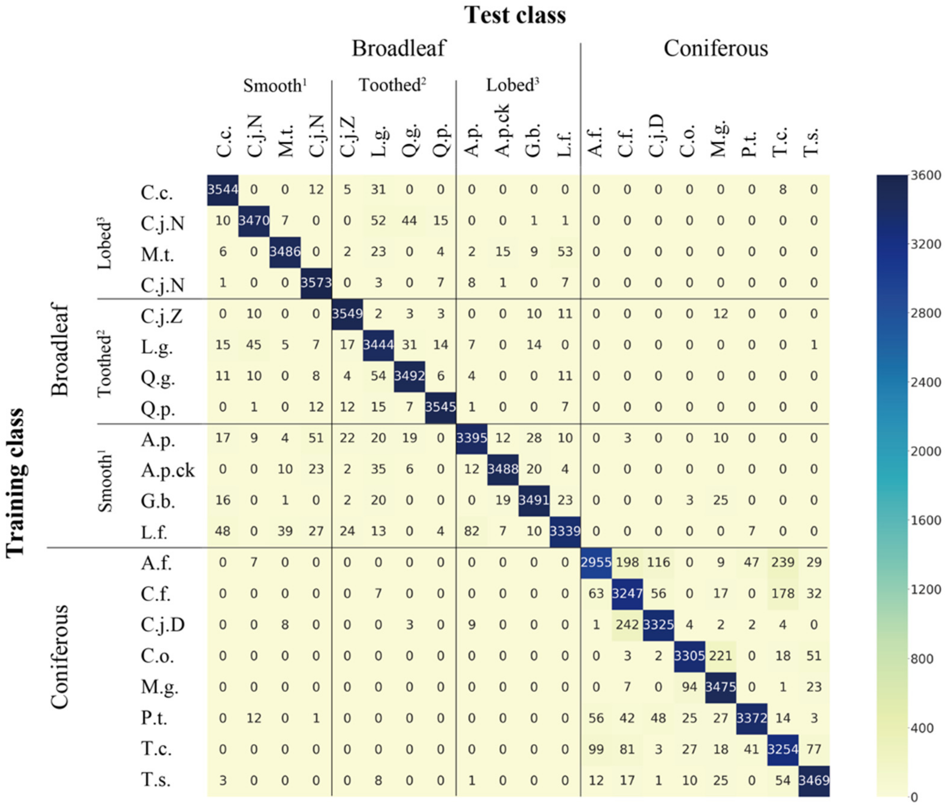 Forests 13 00943 g005