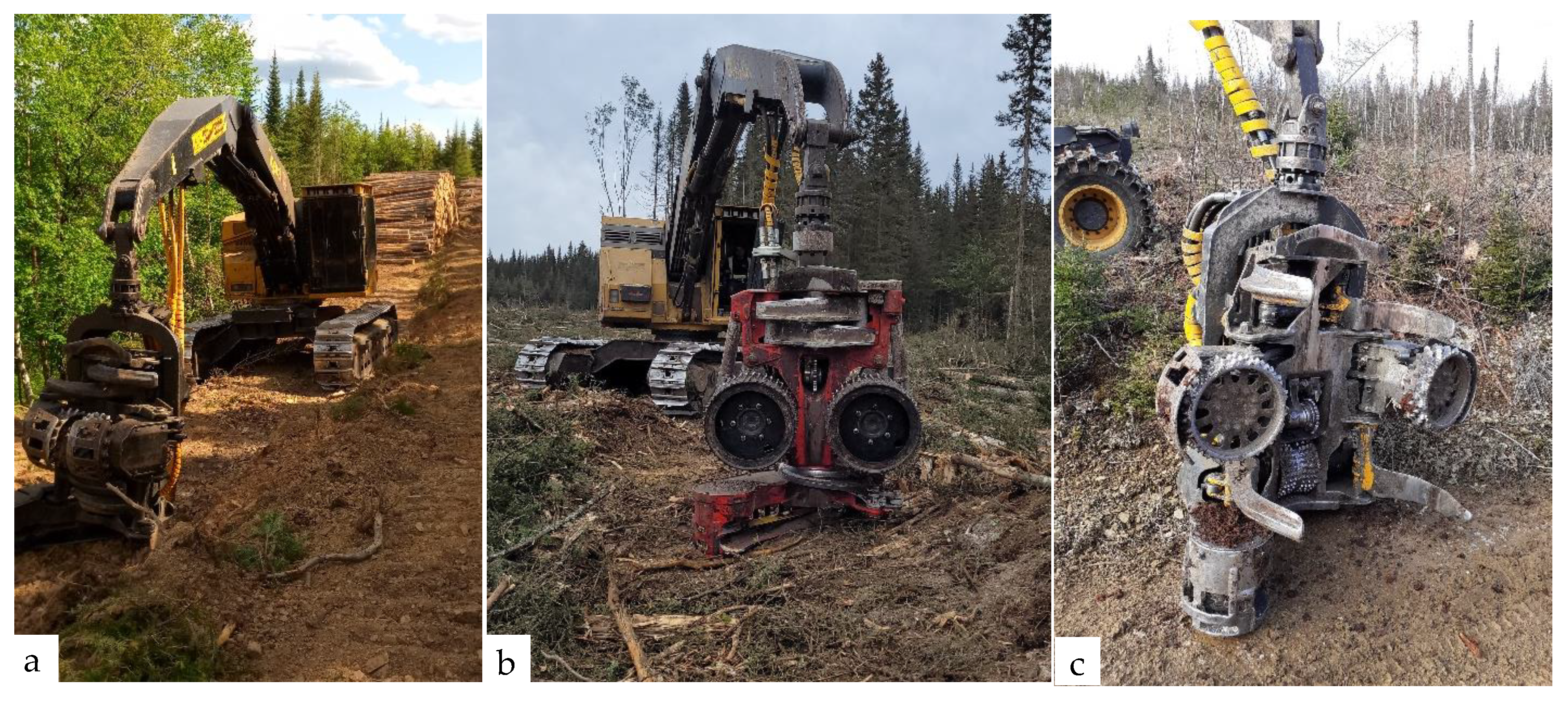 Forests 13 00945 g003