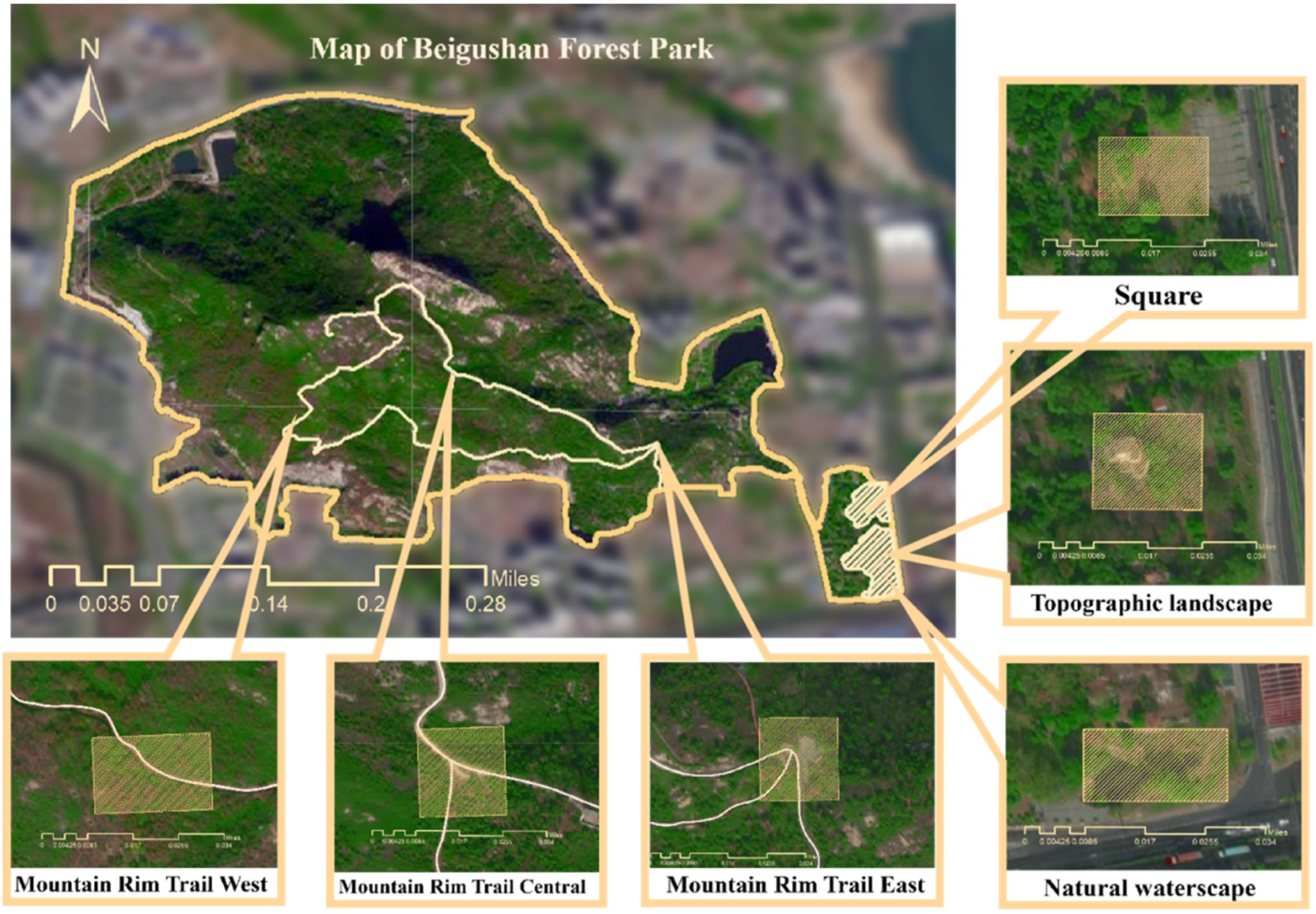 Forests 13 00948 g002