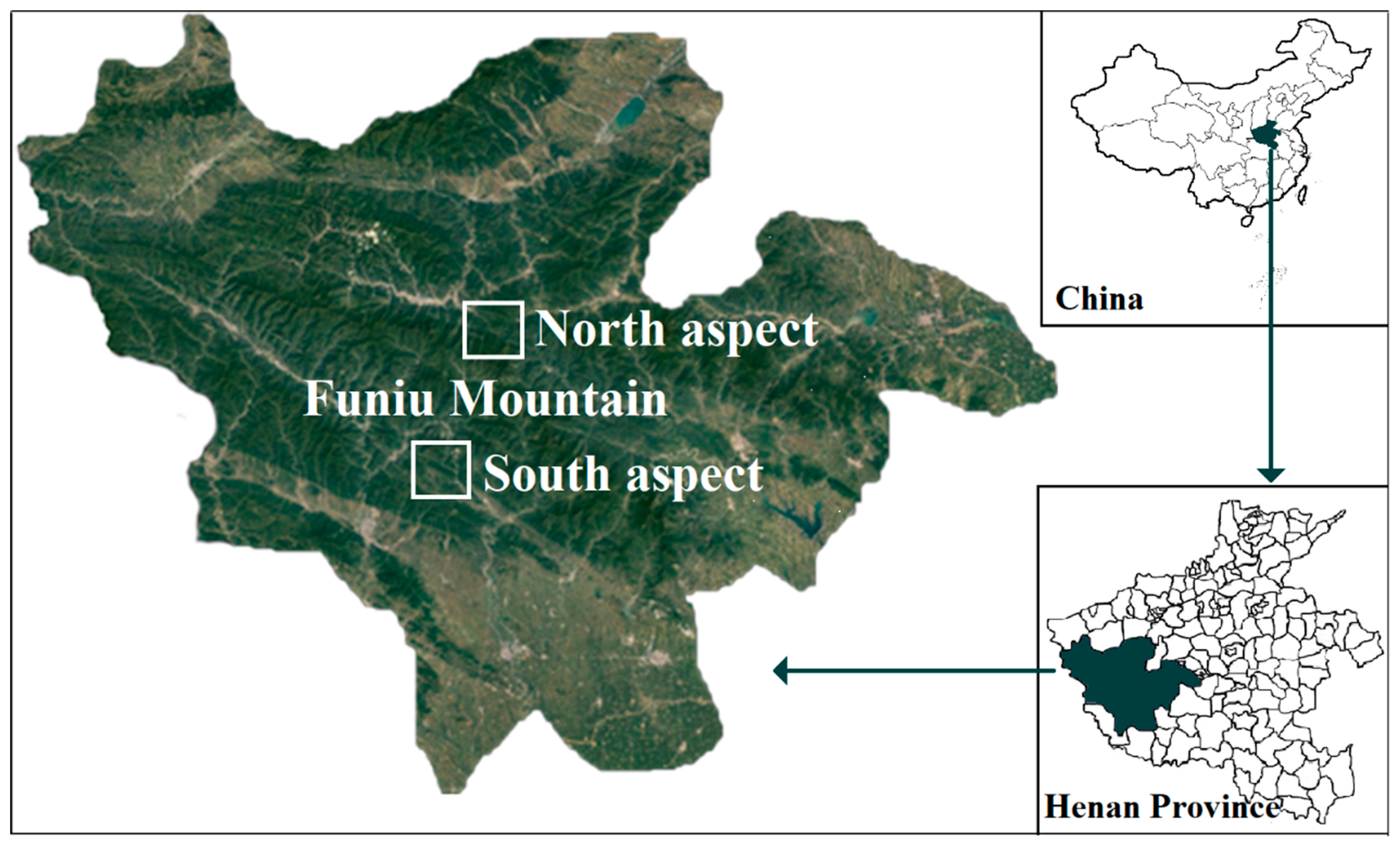Forests 13 00957 g001 Forests 13 00957 g001
