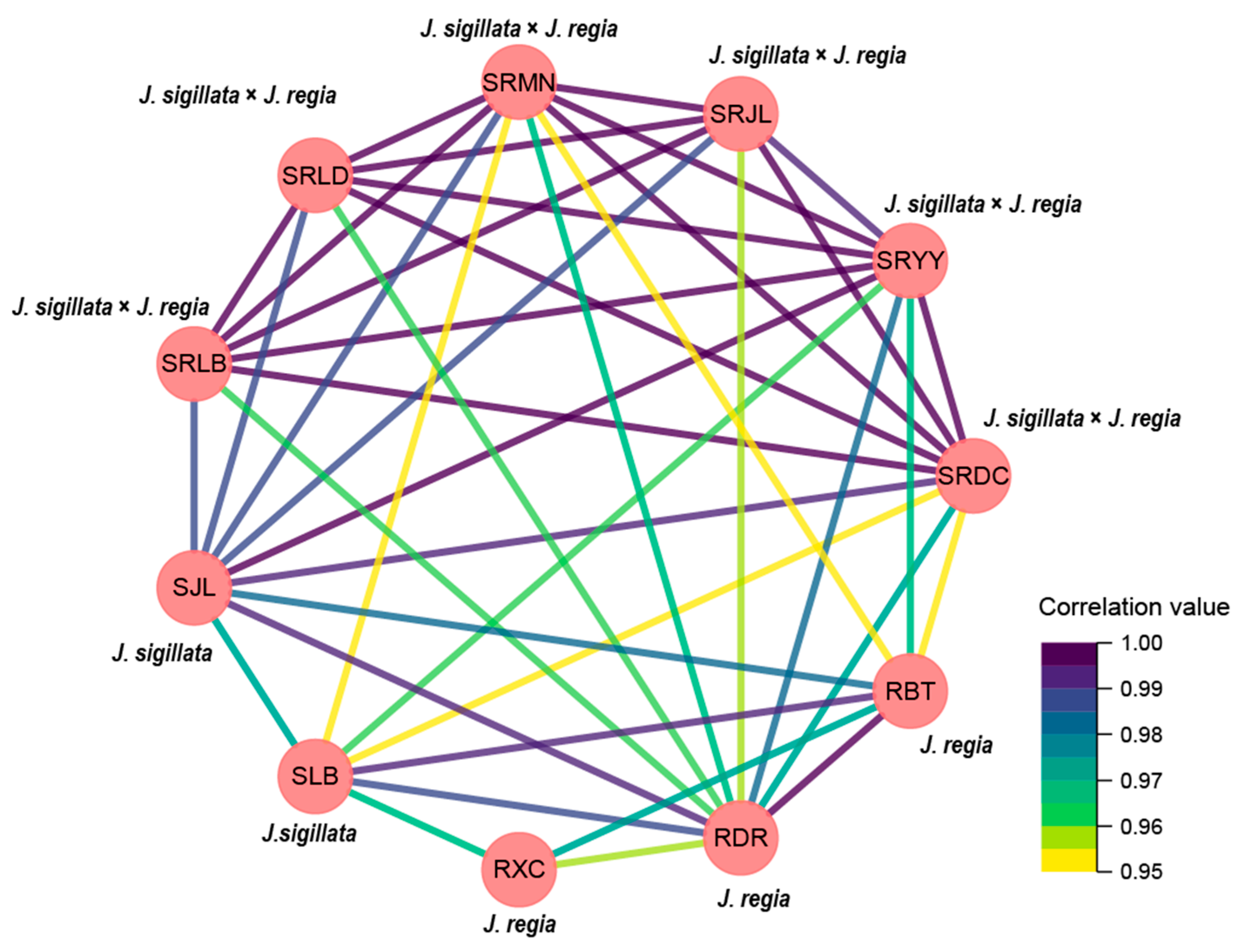 Forests 13 00962 g004