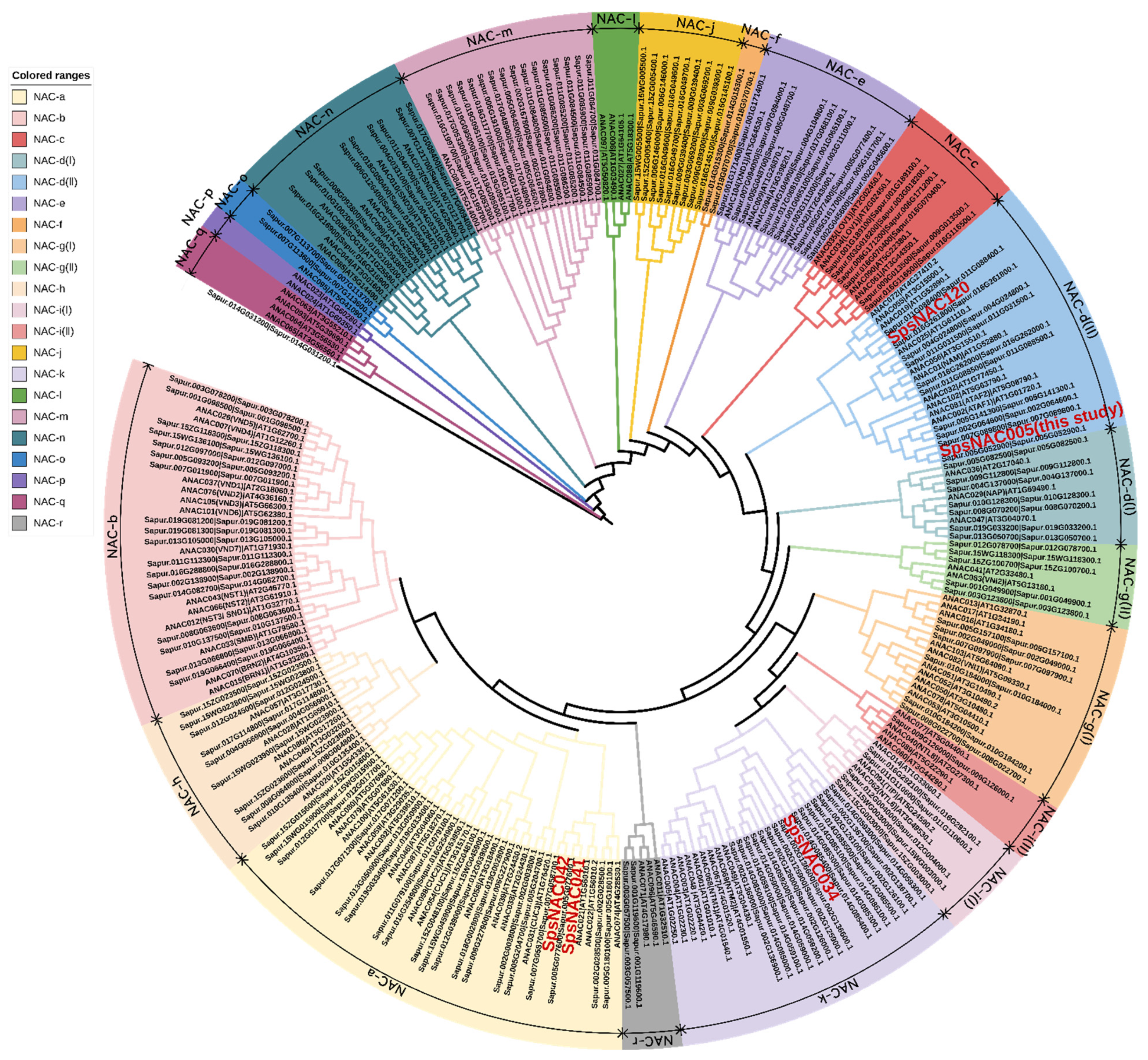 Forests 13 00971 g002 550
