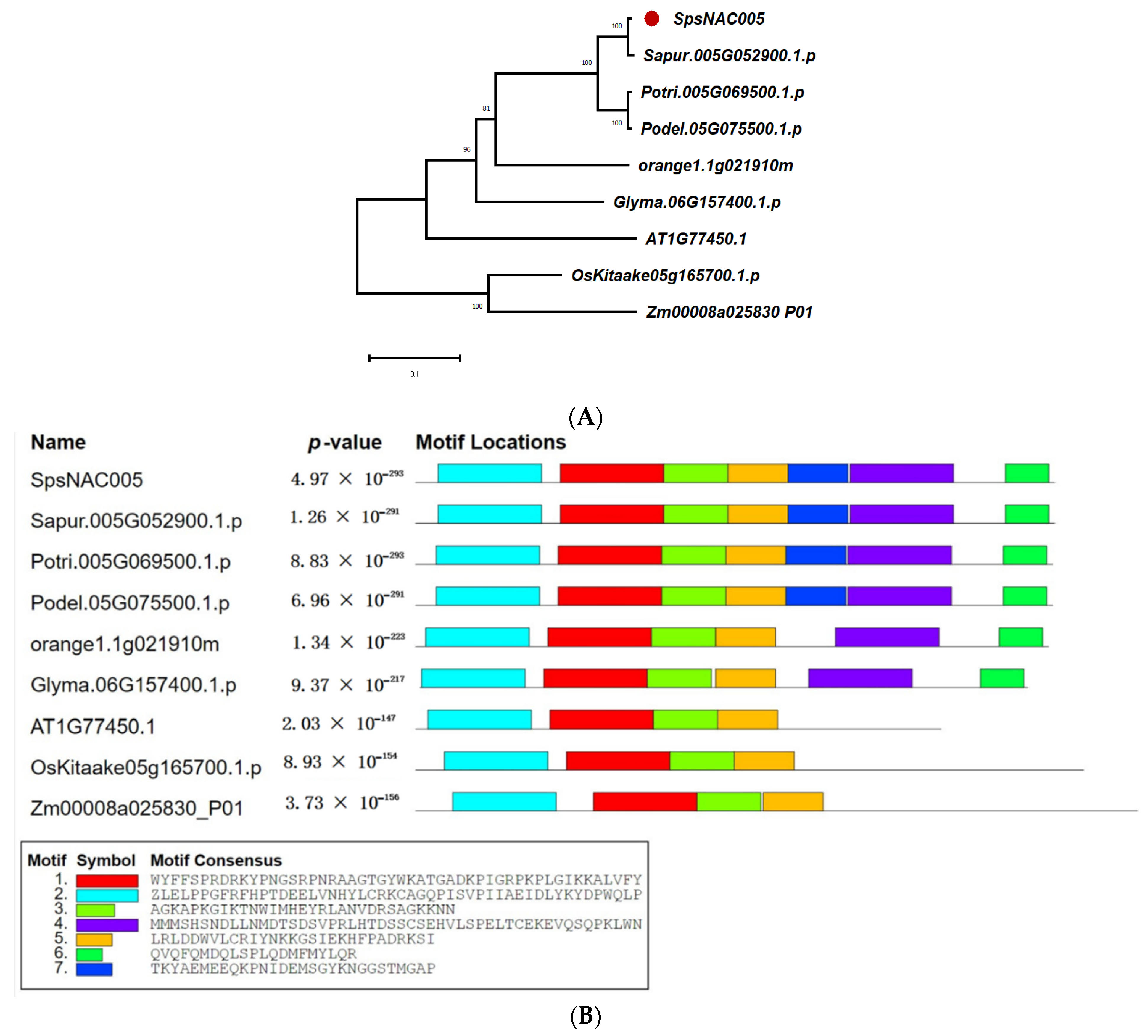 Forests | Free Full-Text | Analysis of the NAC Gene Family in 