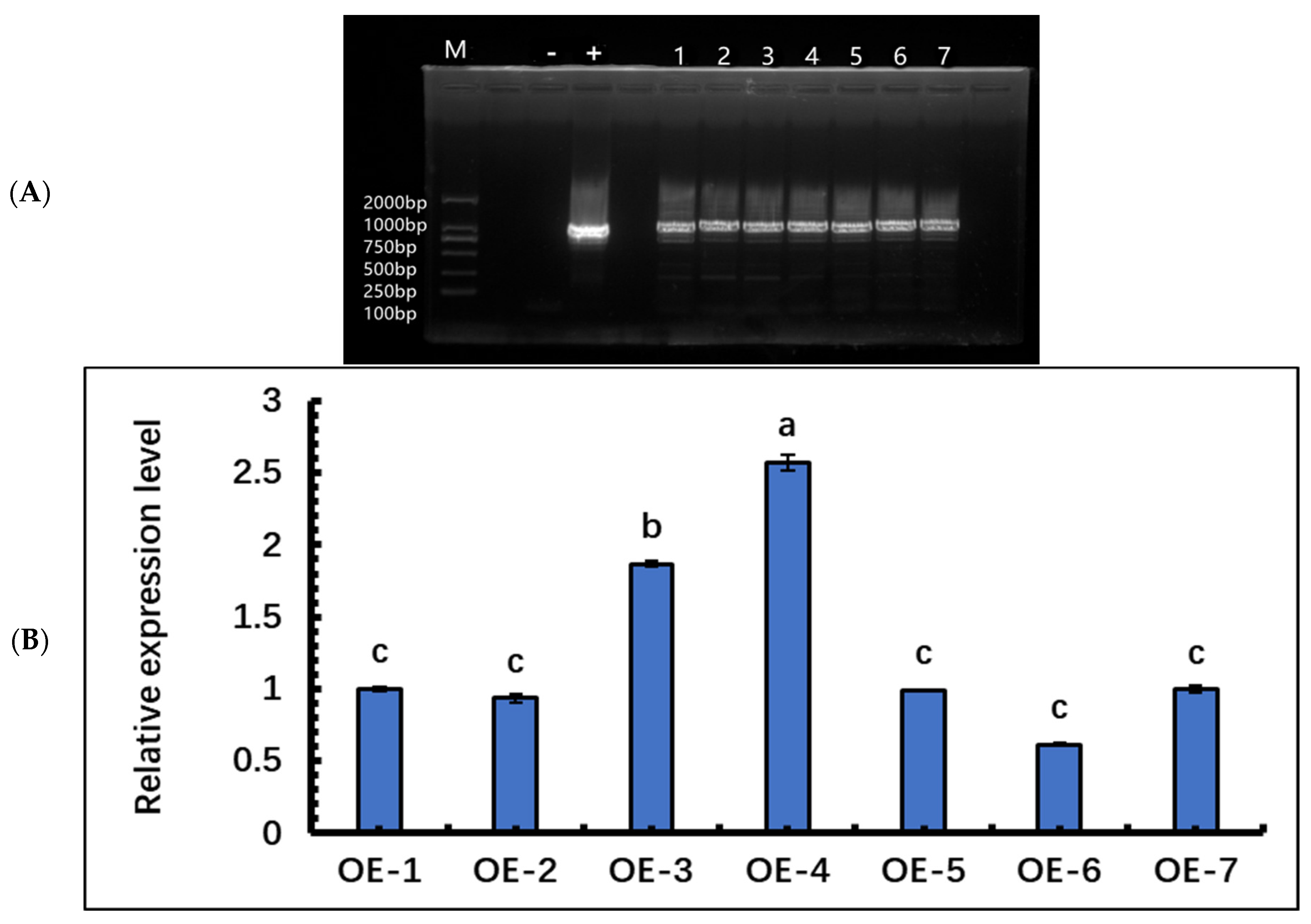 Forests 13 00971 g005 550