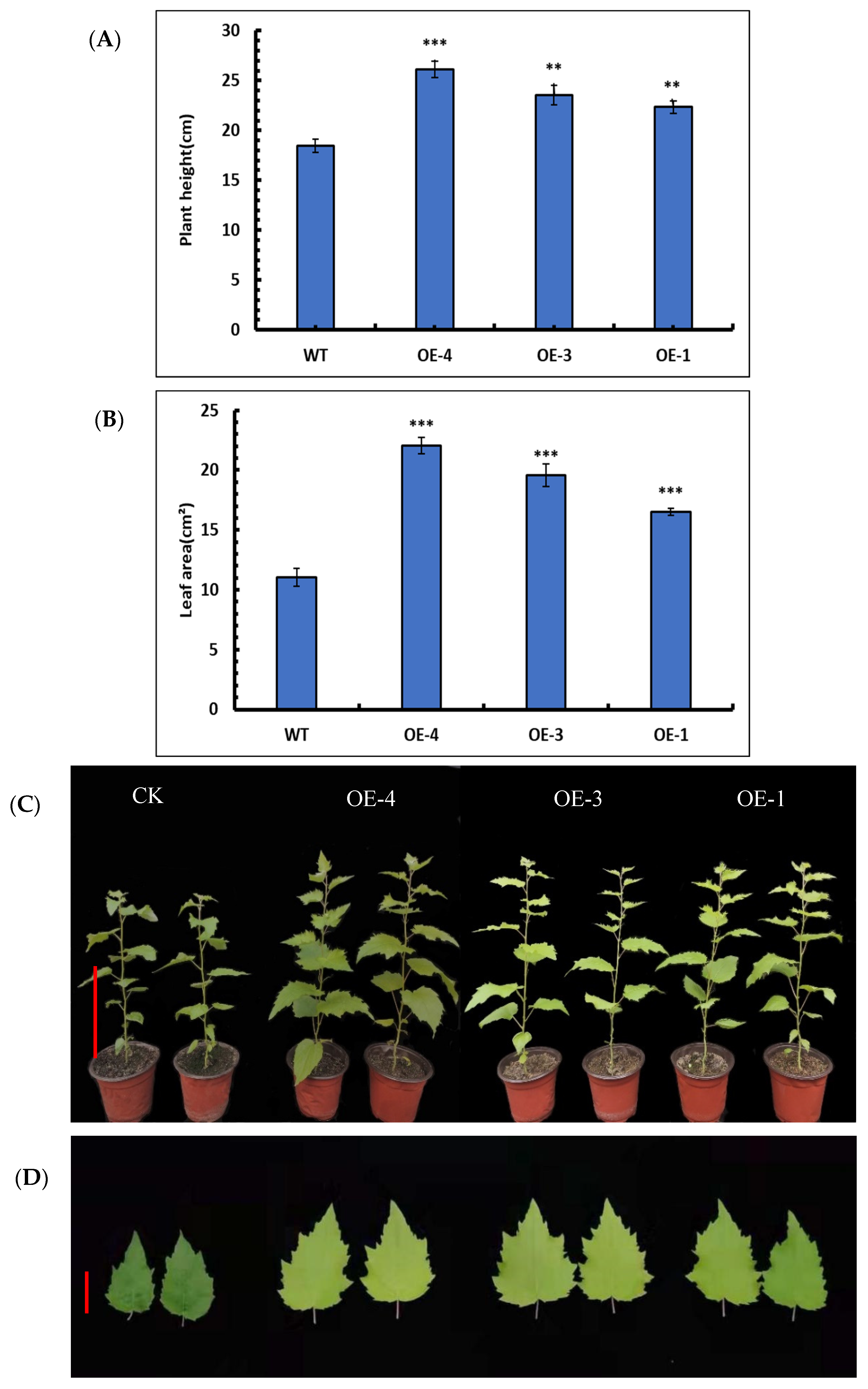 Forests 13 00971 g006 550