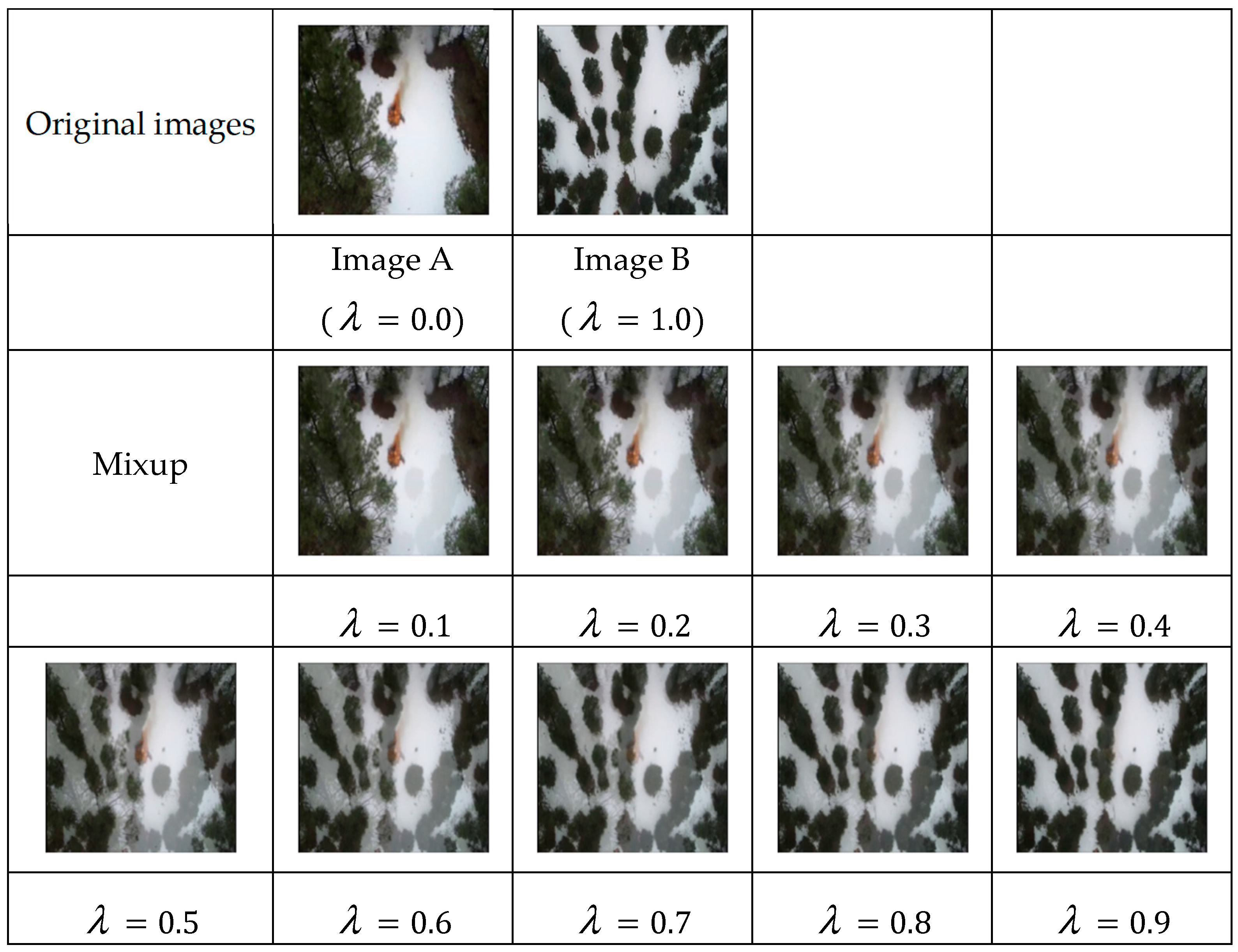 Forests 13 00975 g007 550