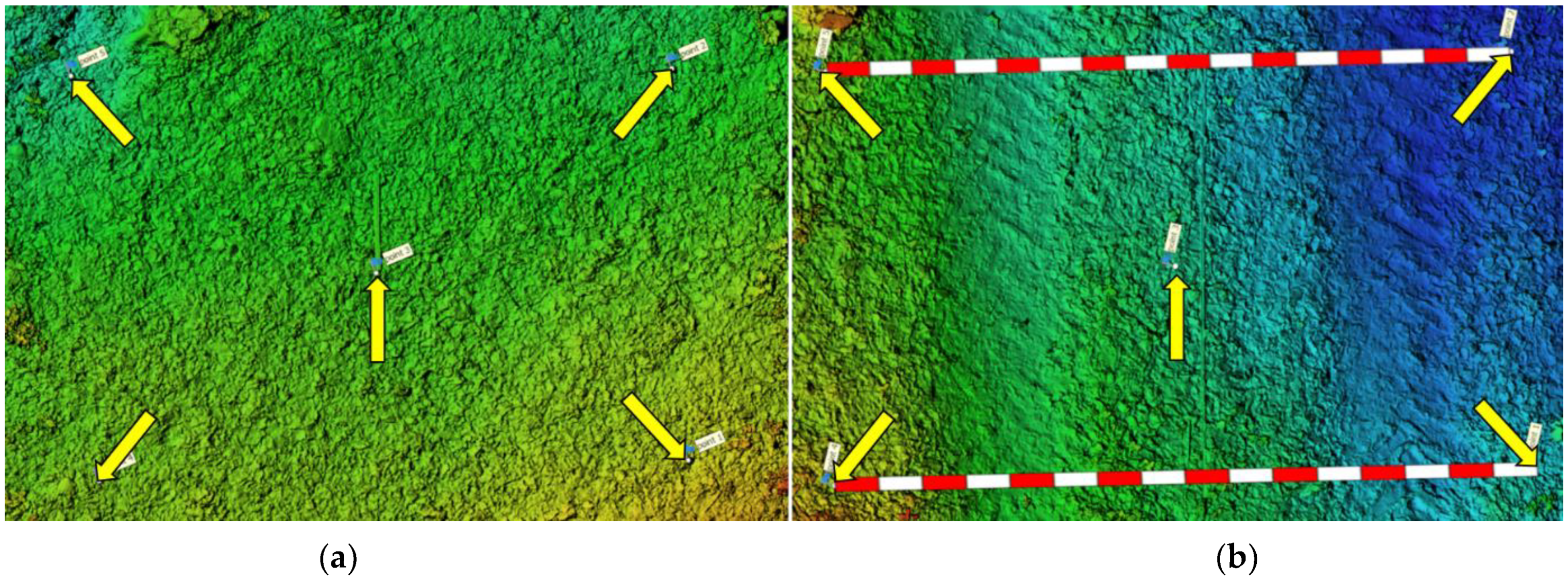 Forests 13 00976 g001 550