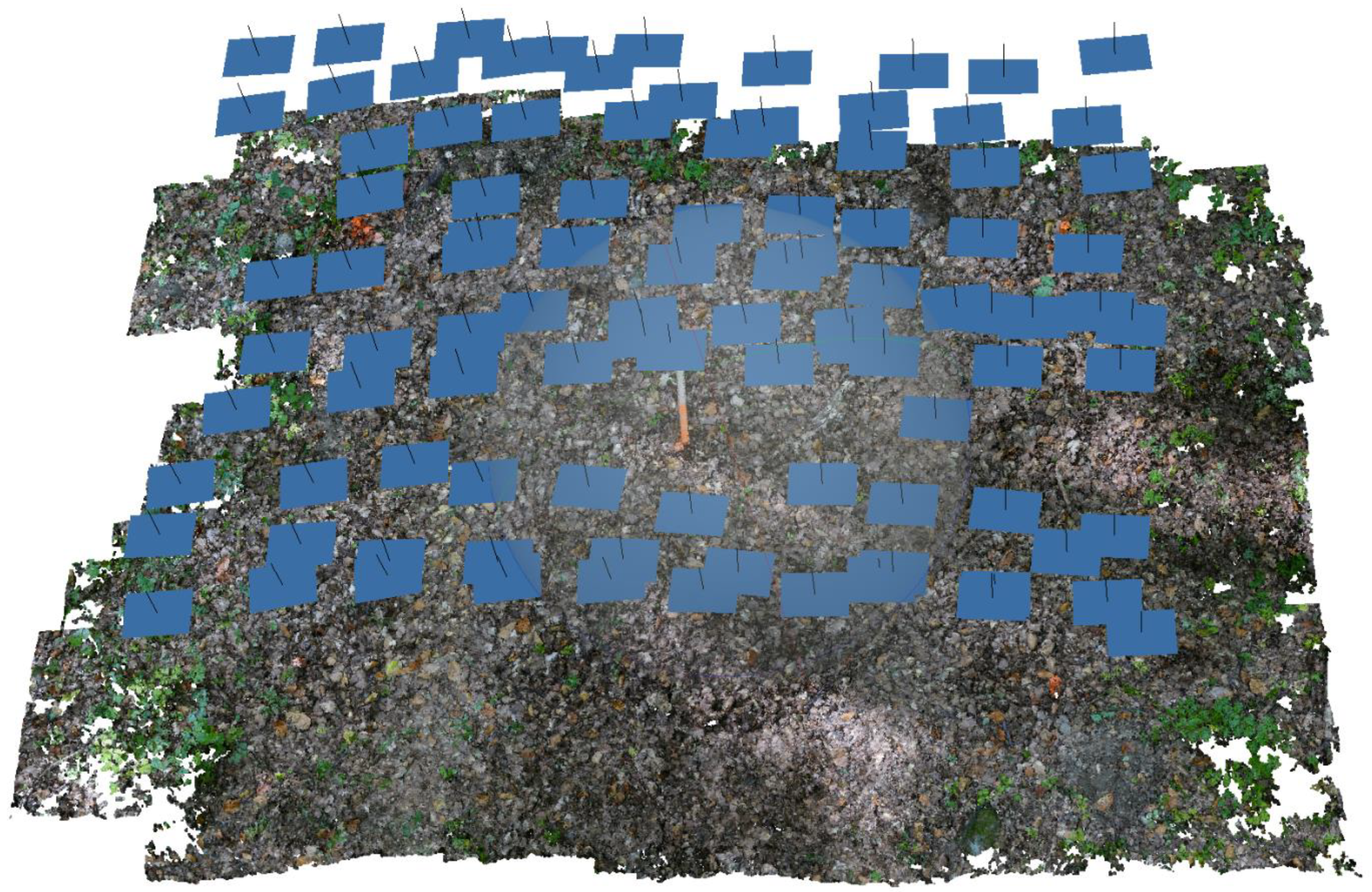 Forests 13 00976 g002 550