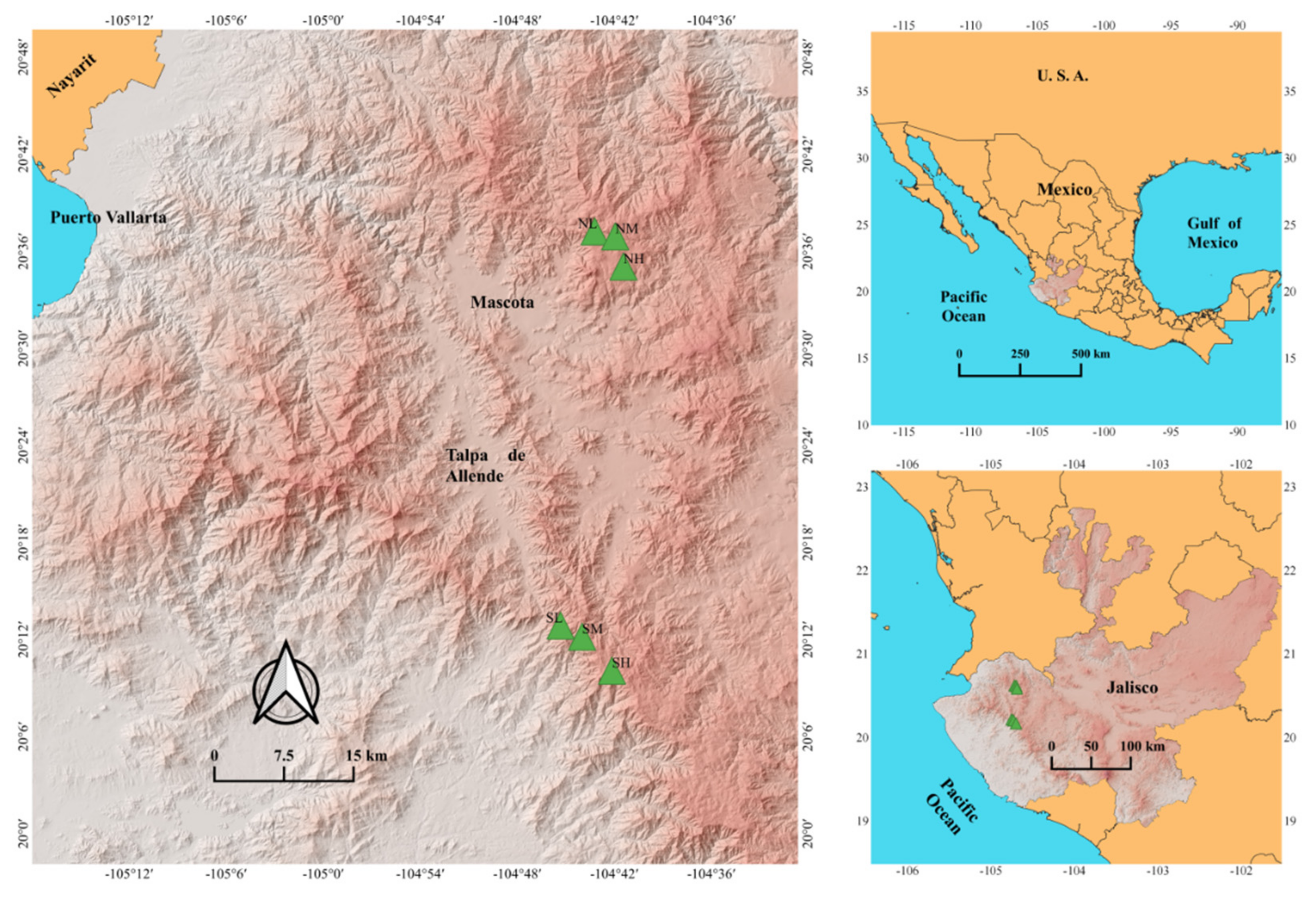 Forests 13 00981 g001 Forests 13 00981 g001