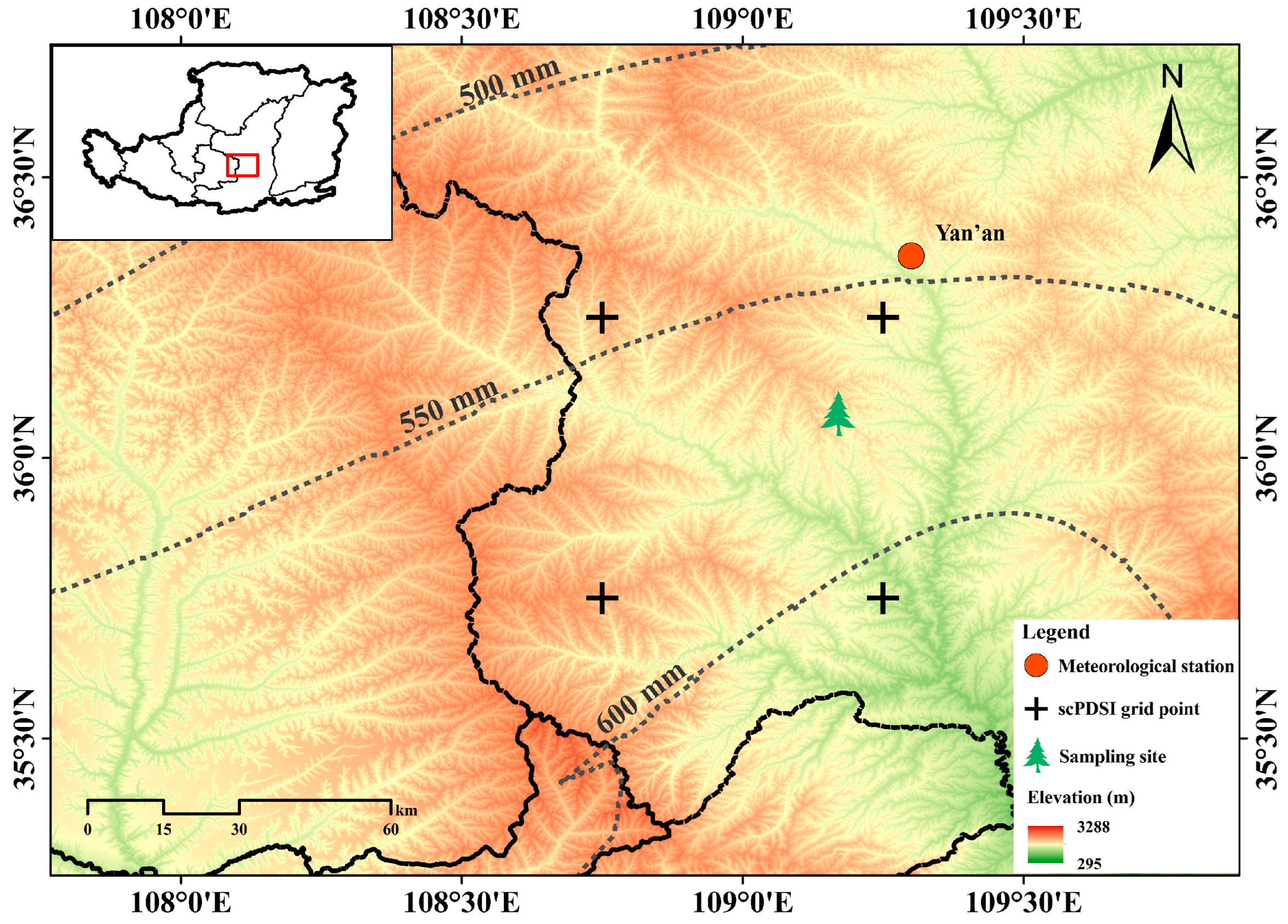 Forests 13 00986 g001