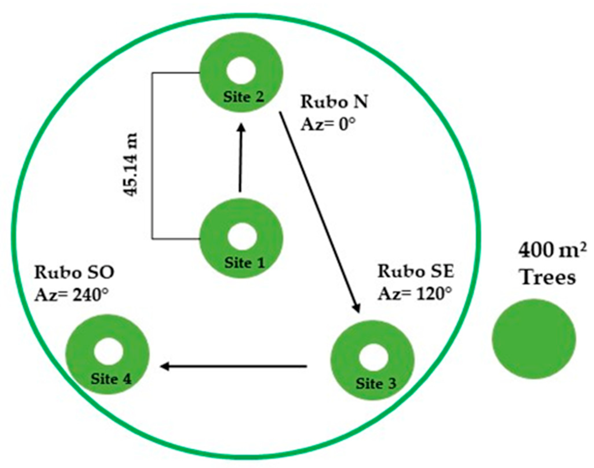 Forests 13 00988 g002