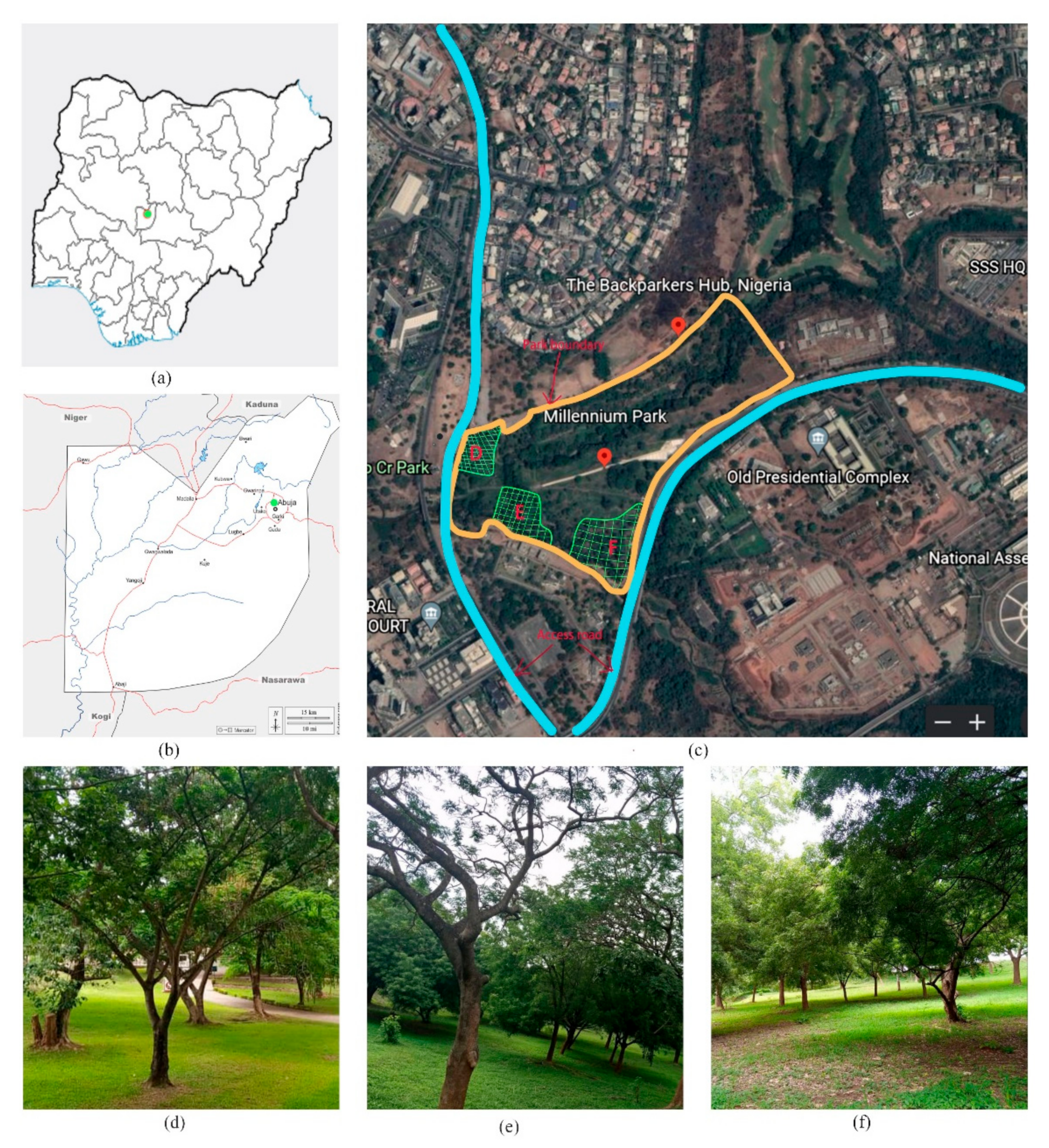 Forests 13 00994 g001 550