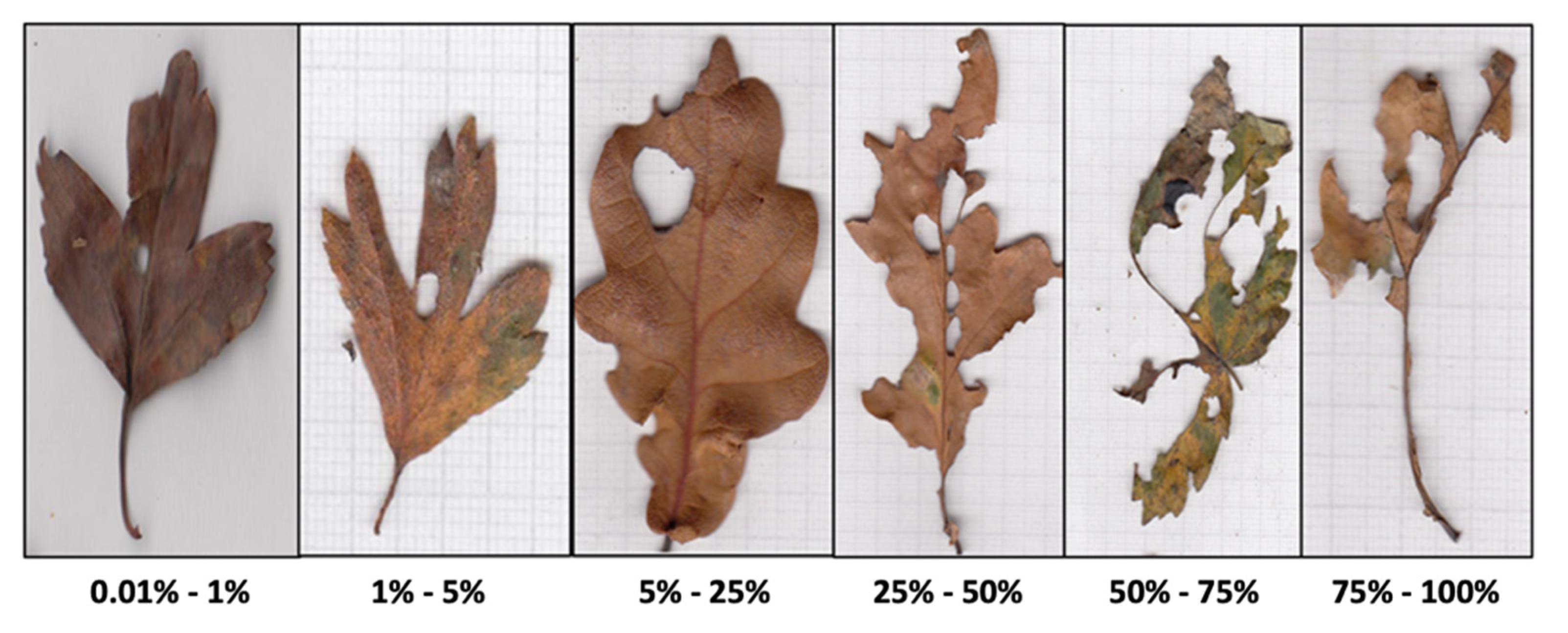 Forests 13 00998 g002 Forests 13 00998 g002