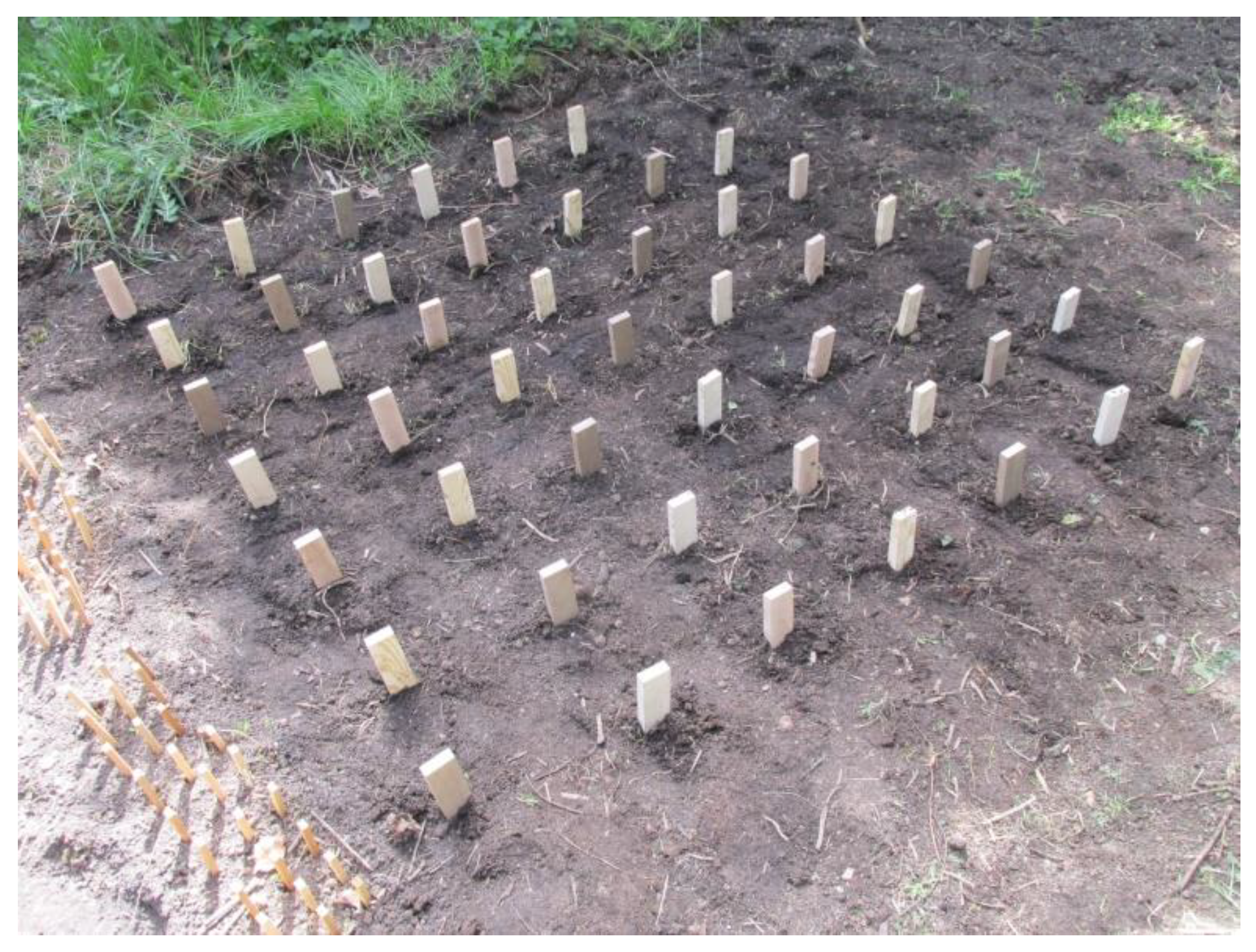 Forests 13 01003 g001 550