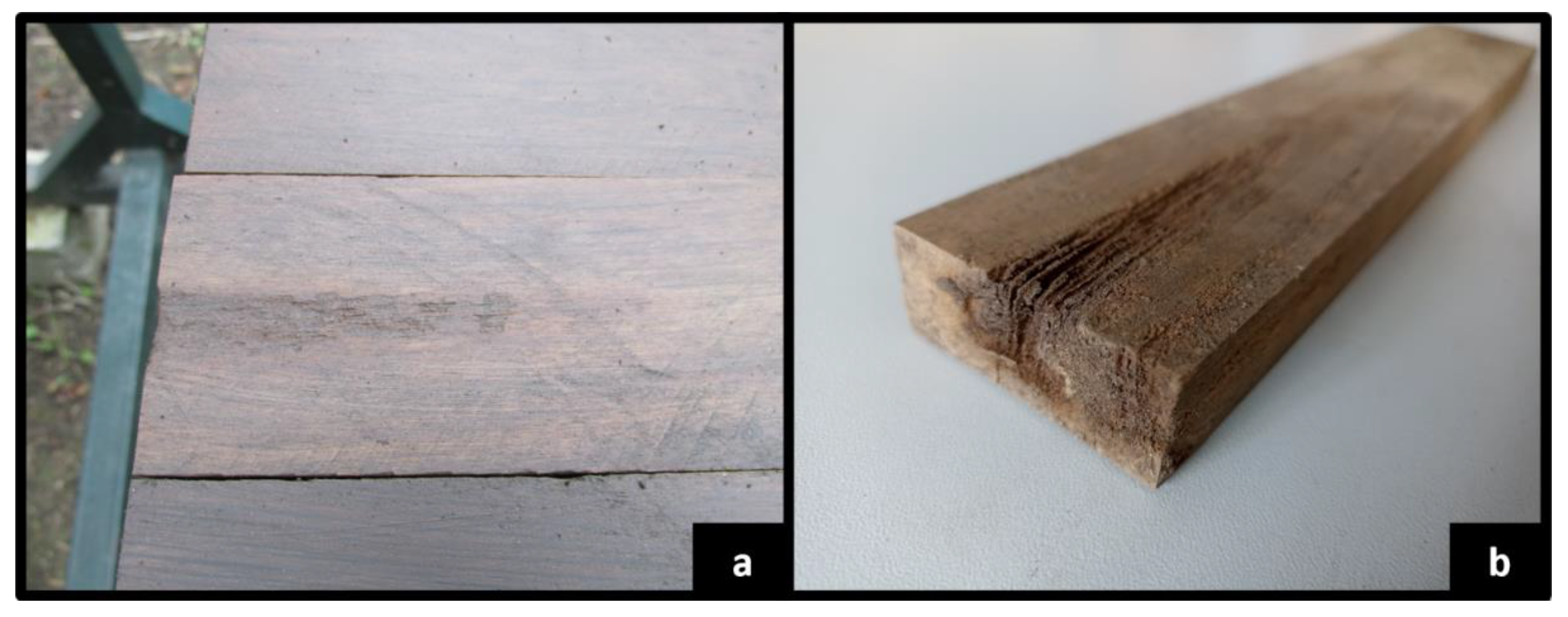 Forests 13 01003 g003 550