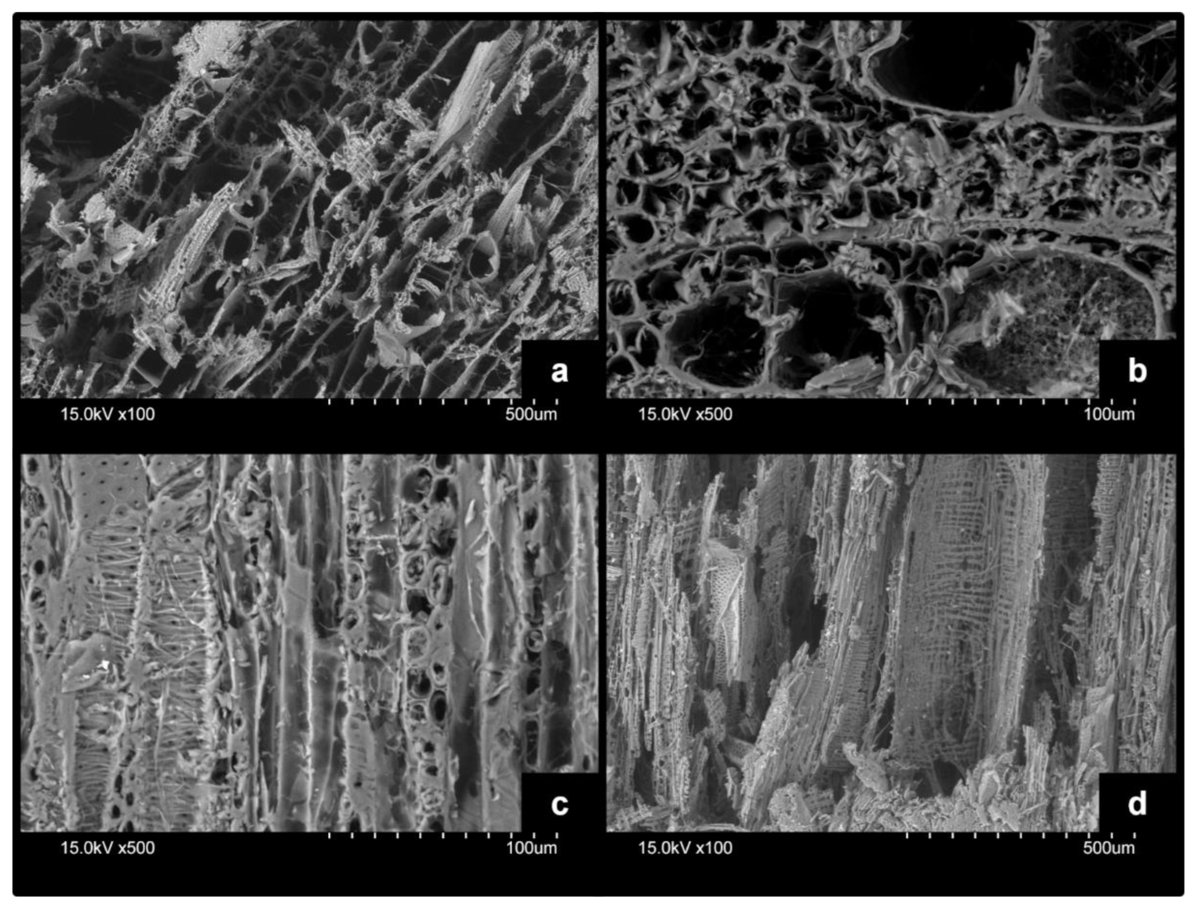 Forests 13 01003 g006 550